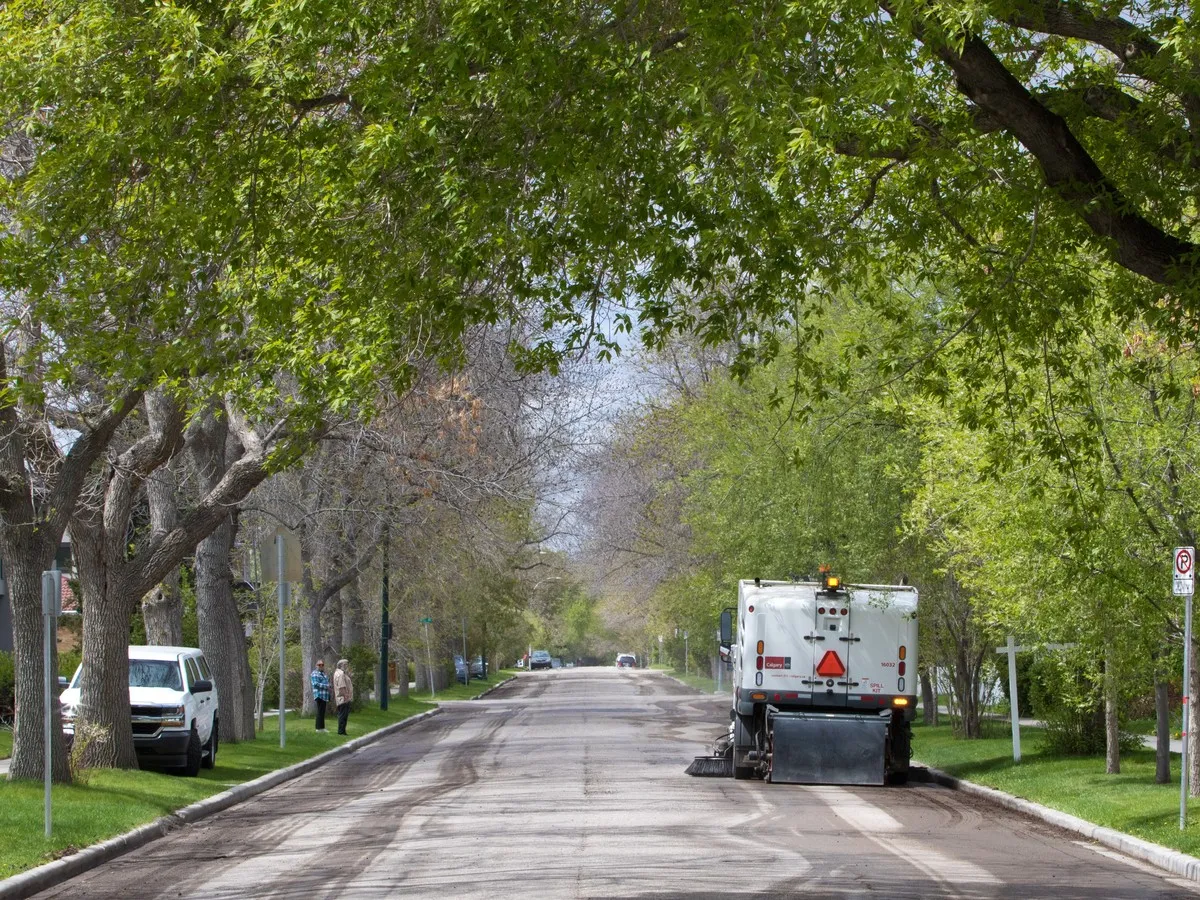 180,000 trees to be planted across Calgary this year