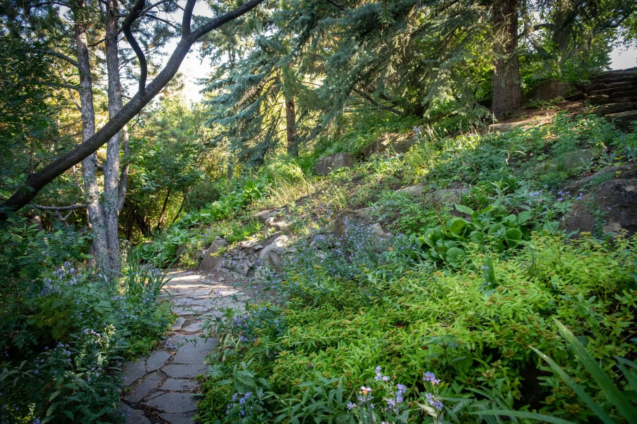 Seven urban hikes to escape the city without leaving it