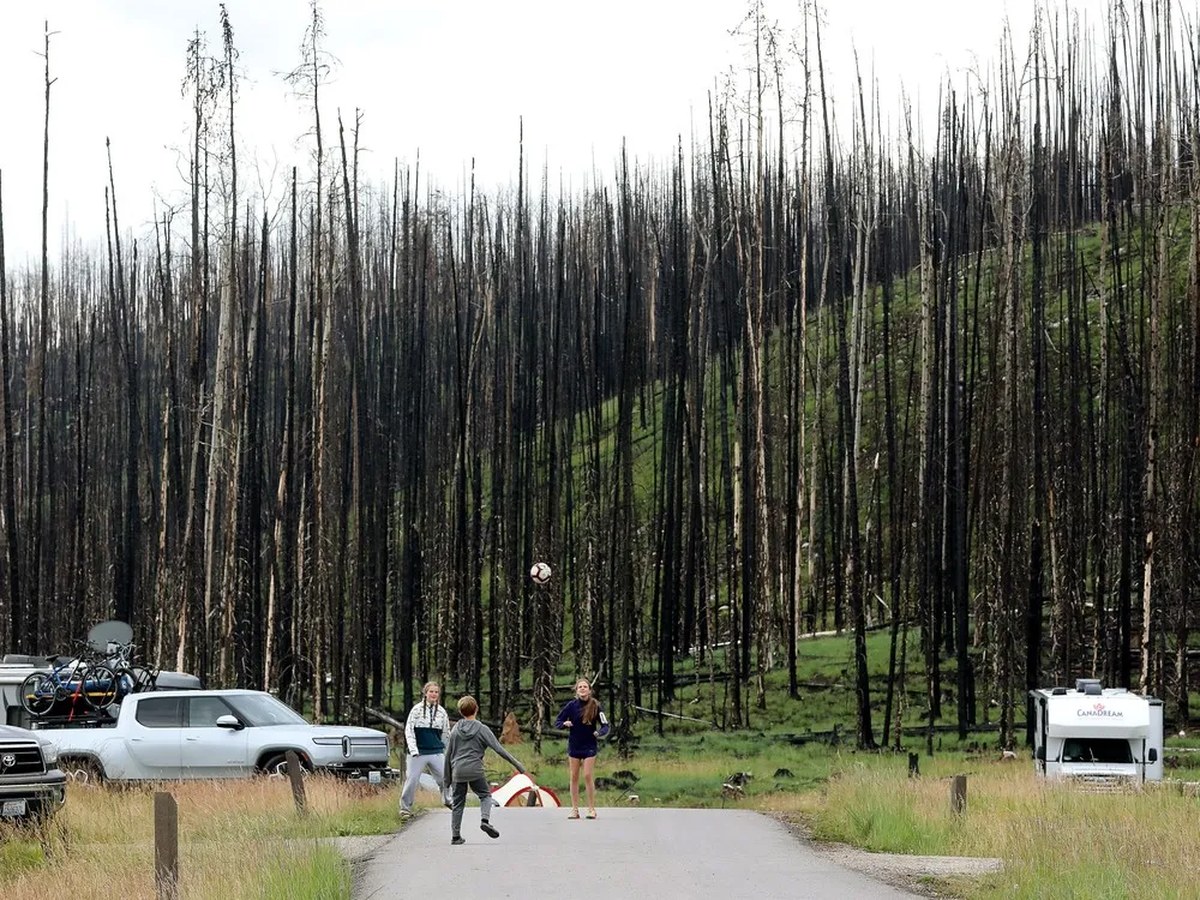 Wildfire evacuees face unequal support, Edmonton research shows