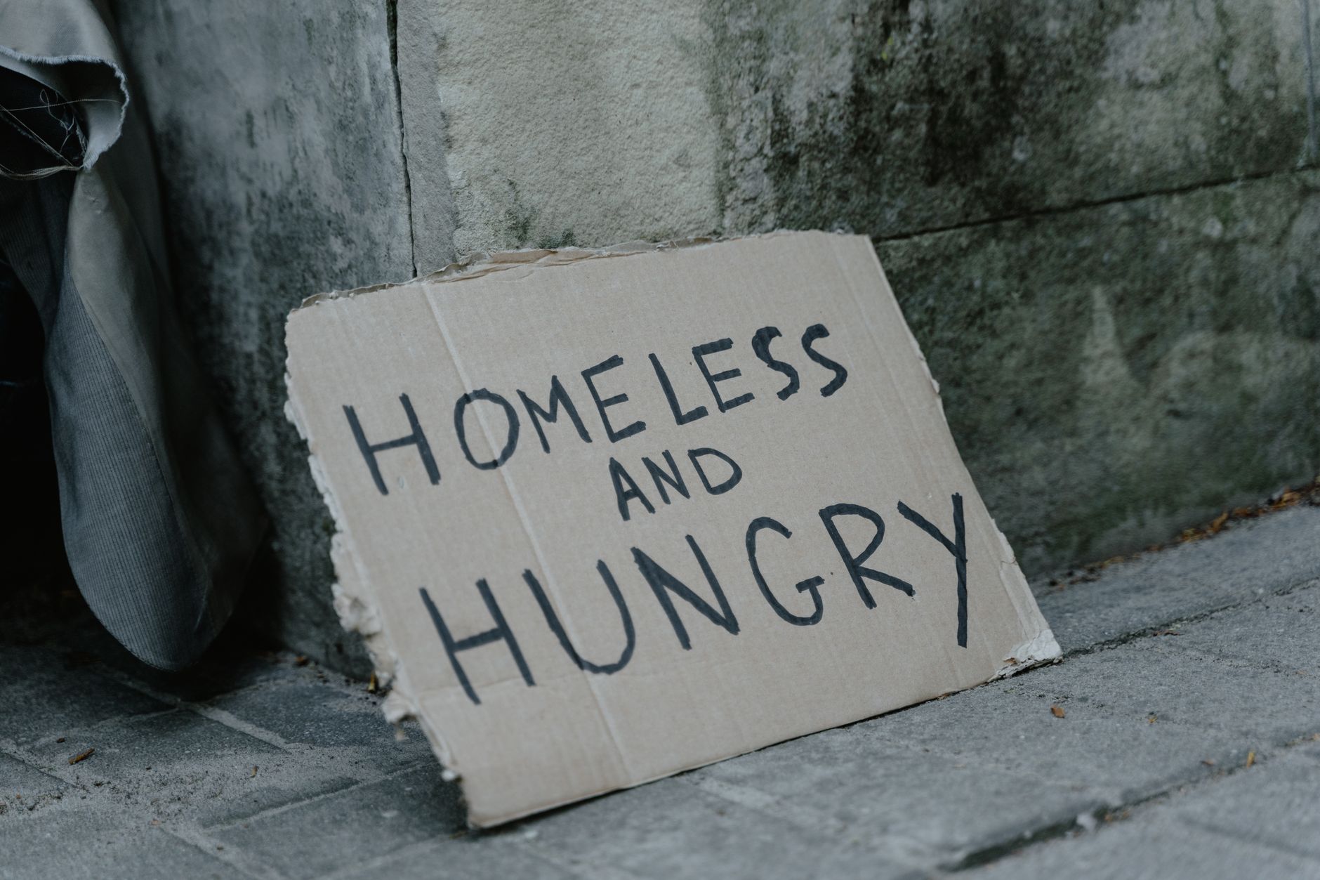 Milton Parc homelessness 'humanitarian crisis' persists, ombudsperson warns