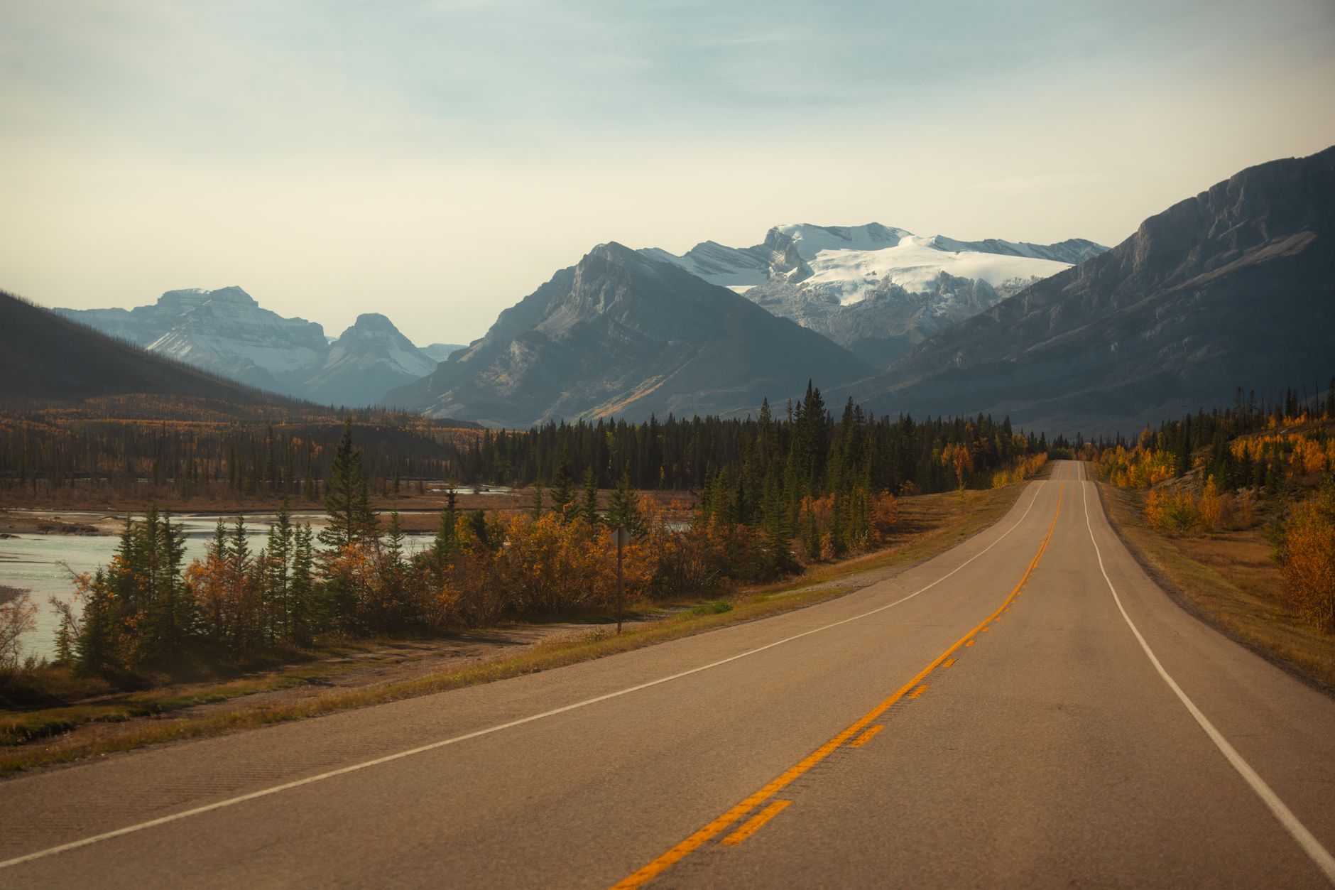 Alberta's population keeps growing despite federal immigration freeze