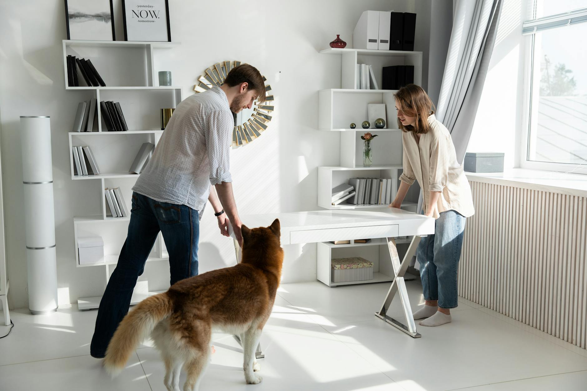 Pet-friendly rentals remain rare in Calgary housing market