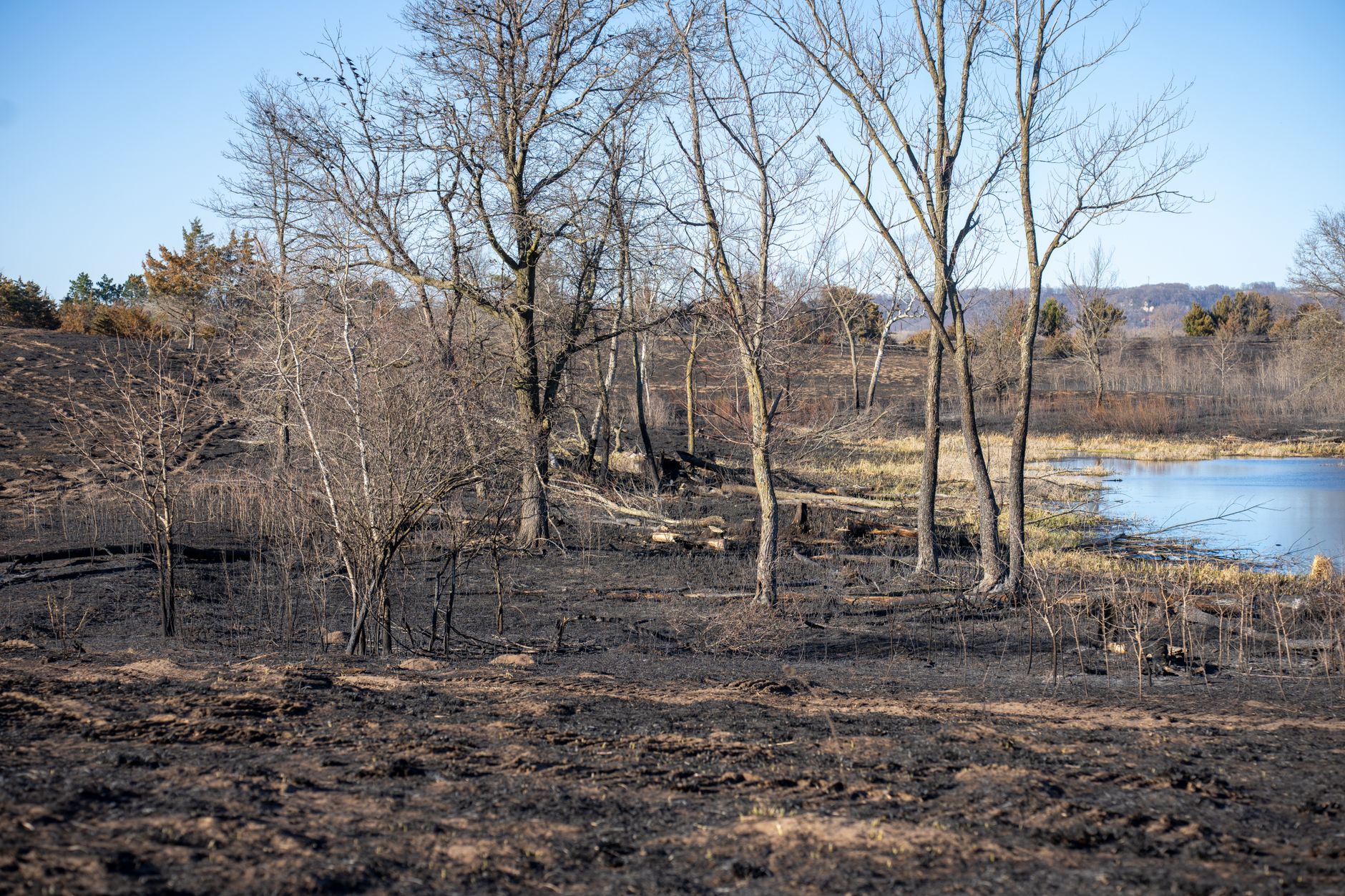 Wildfire west of Princeton grows to 57 hectares, evacuation alert issued