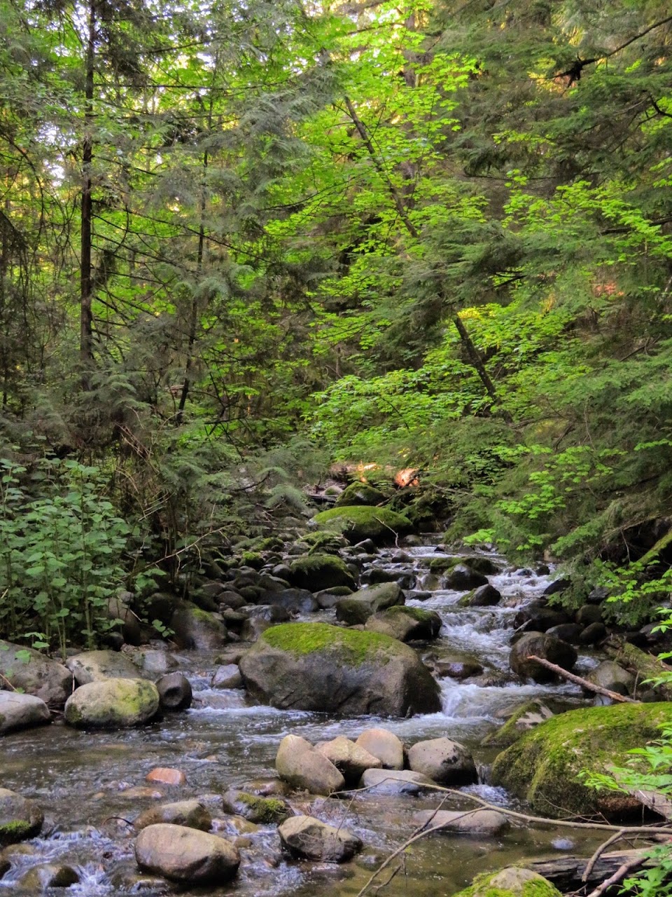 North Vancouver council votes to permanently decommission Hastings Creek Trail