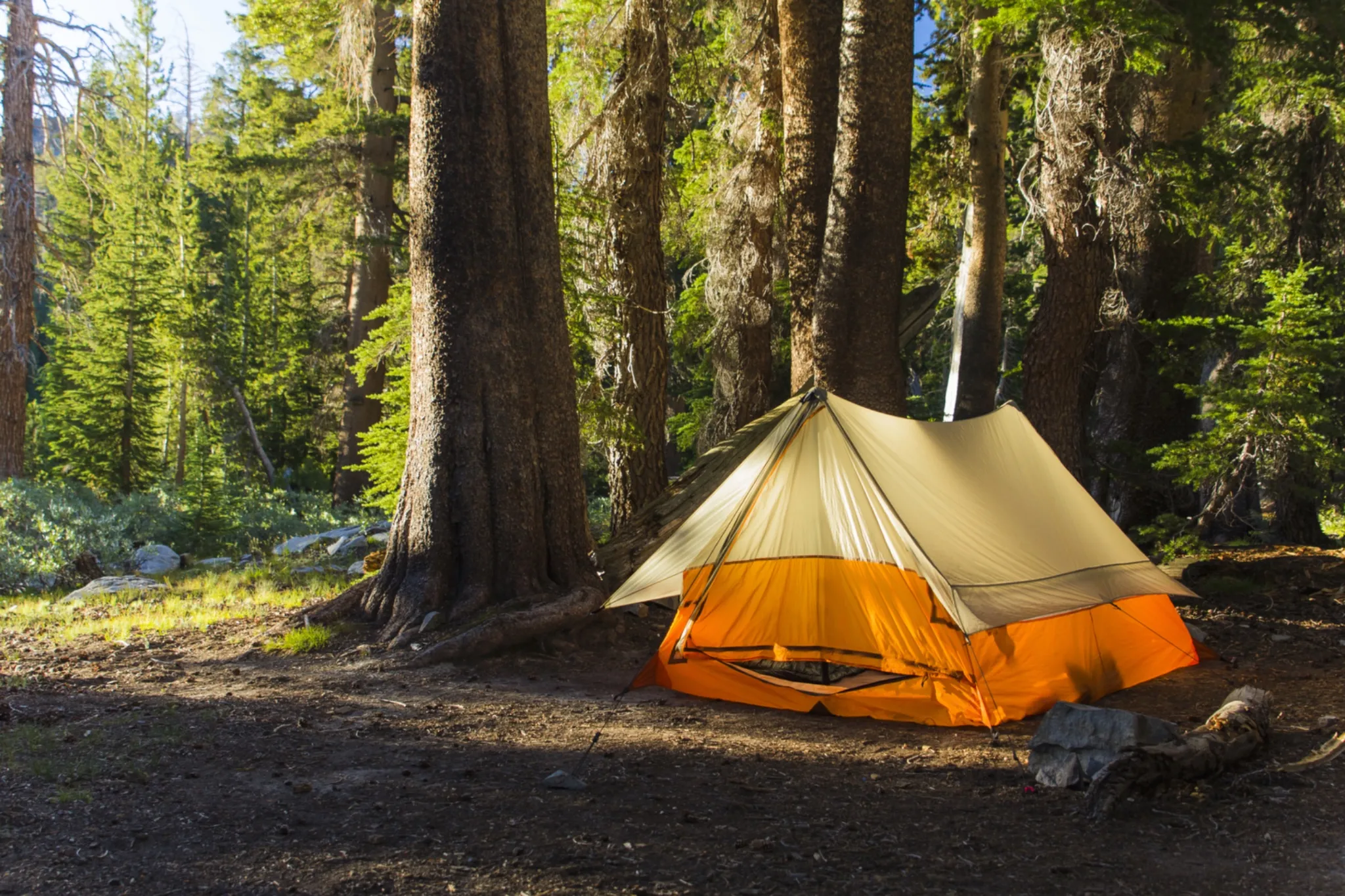 New campground in works for Lesser Slave Lake Provincial Park