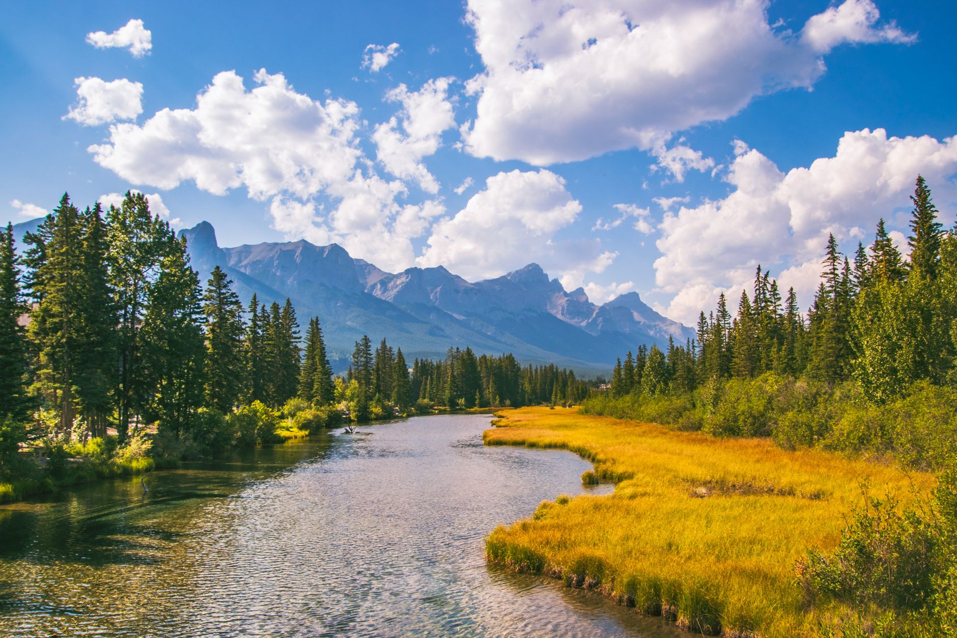 Bow River rescues near Canmore highlight water safety dangers as debris, melt alter channels