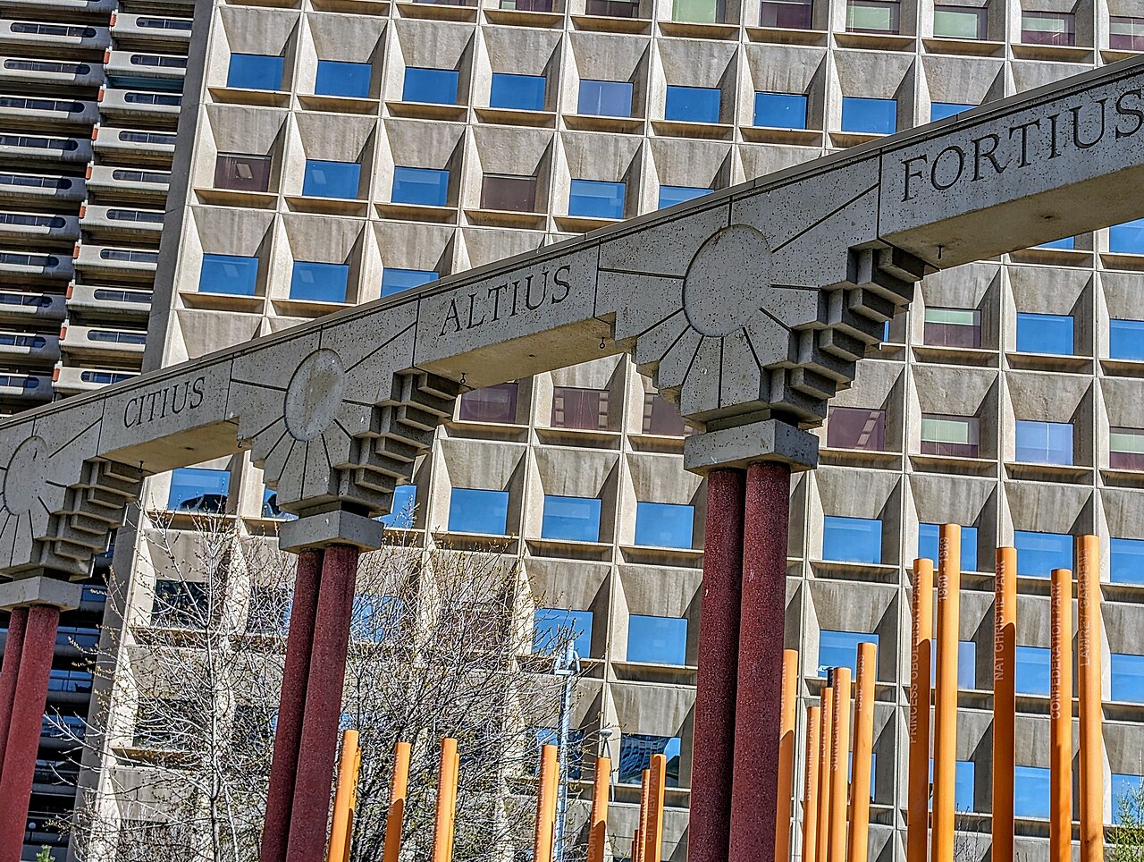 Sheila Taylor named new Calgary Downtown Association executive director