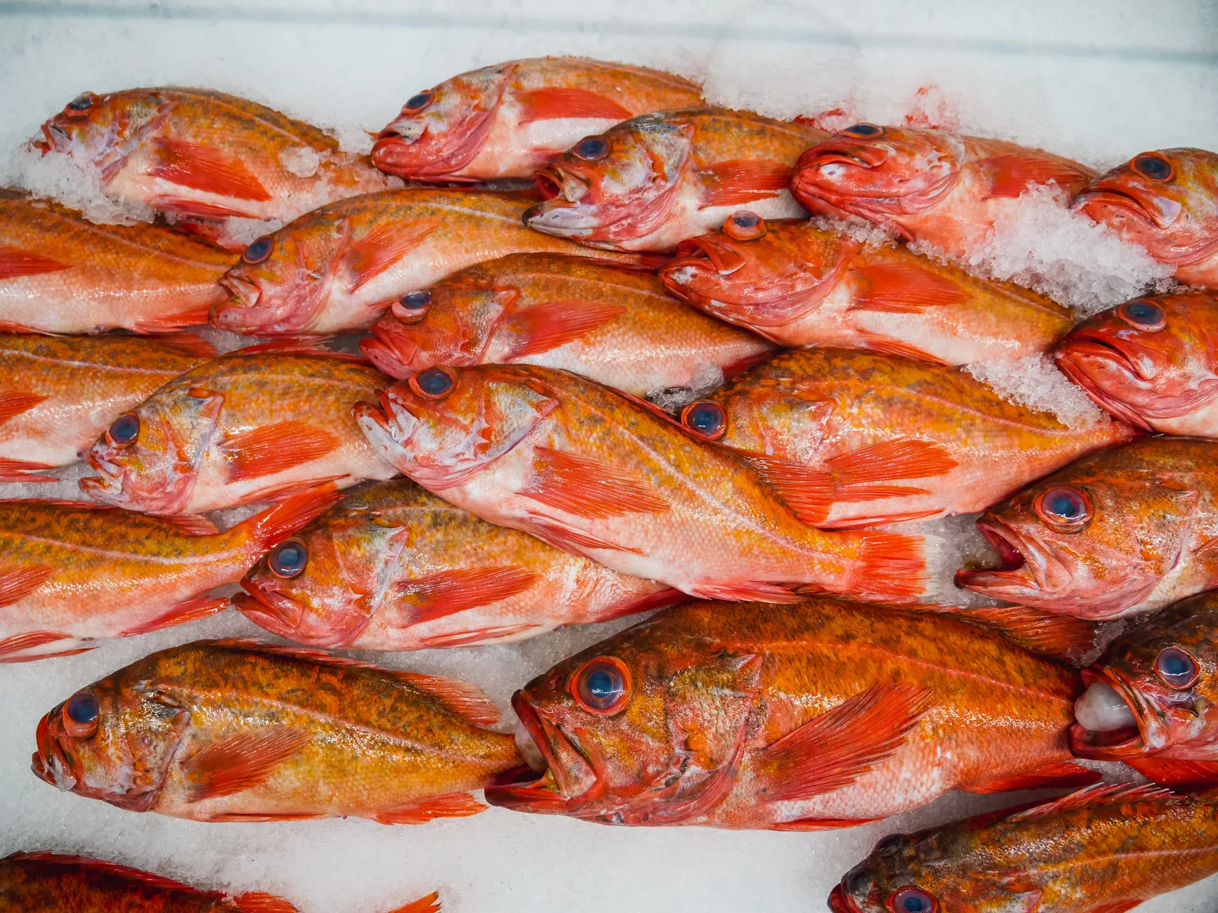 Canada reverses seafood tariffs ahead of September 8 implementation to protect integrated North American market