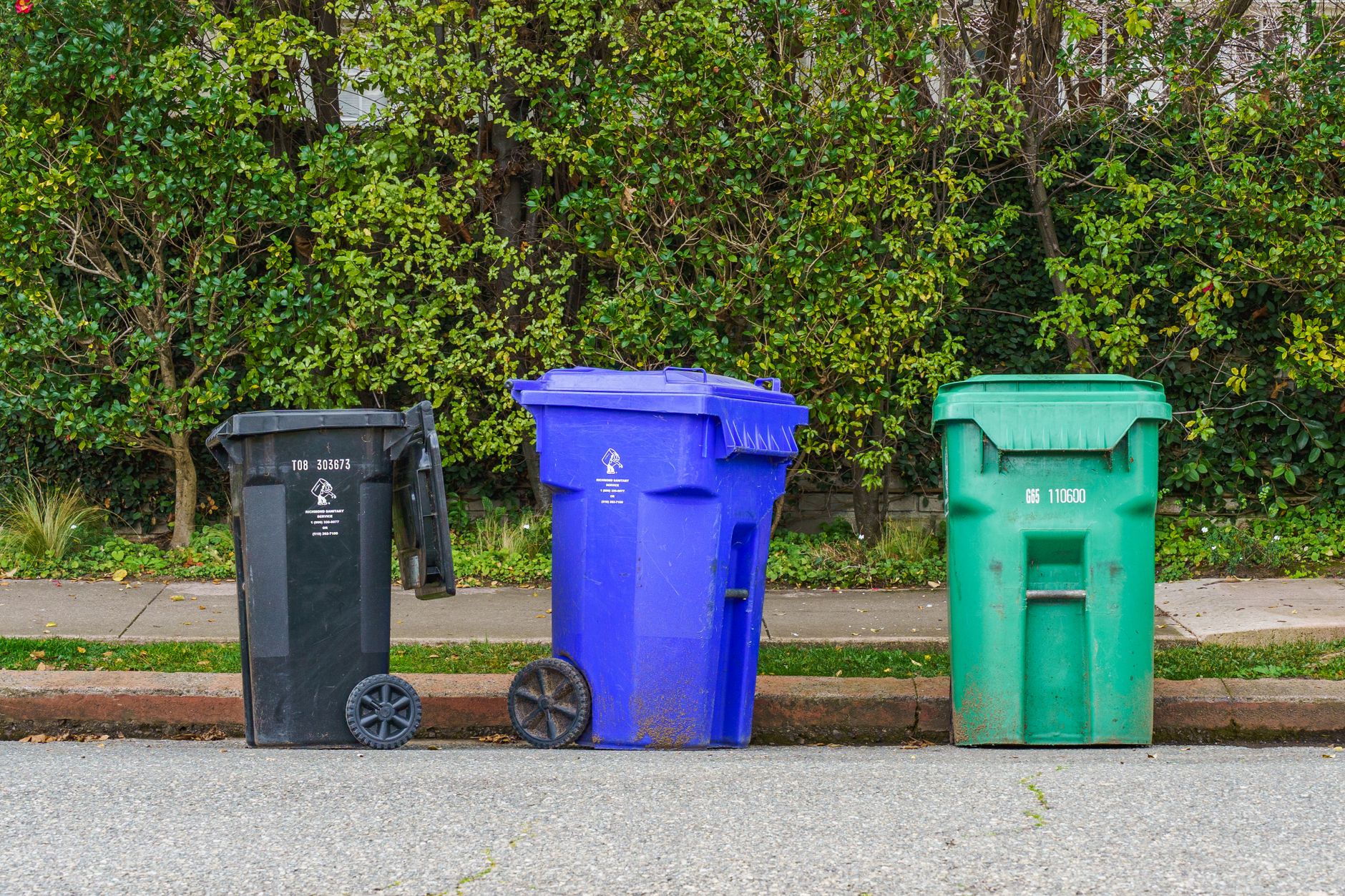 Ottawa waives garbage limits for three west-end wards after Canada Day storm