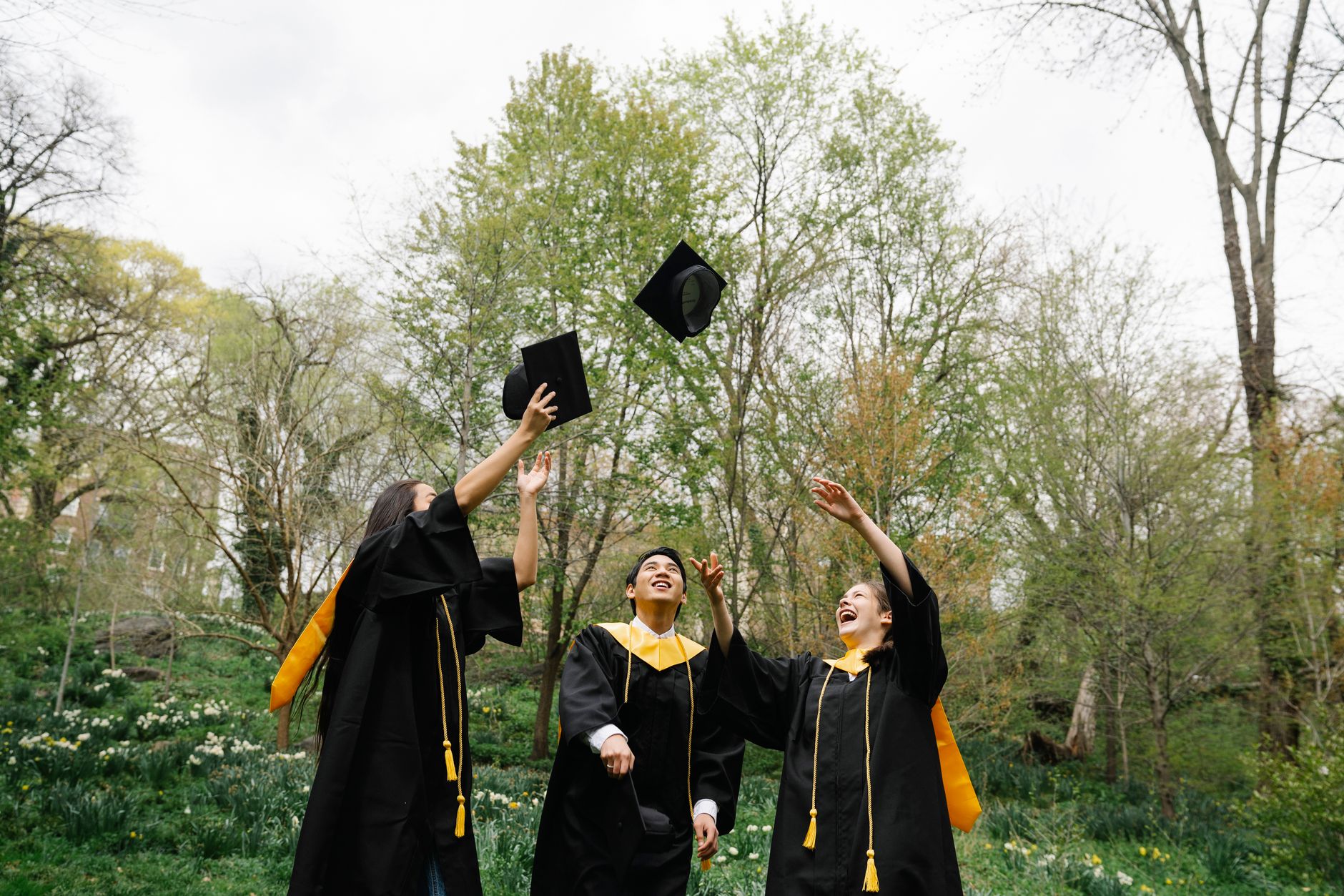 Ontario needs 1M university grads over next decade to fill labour gaps