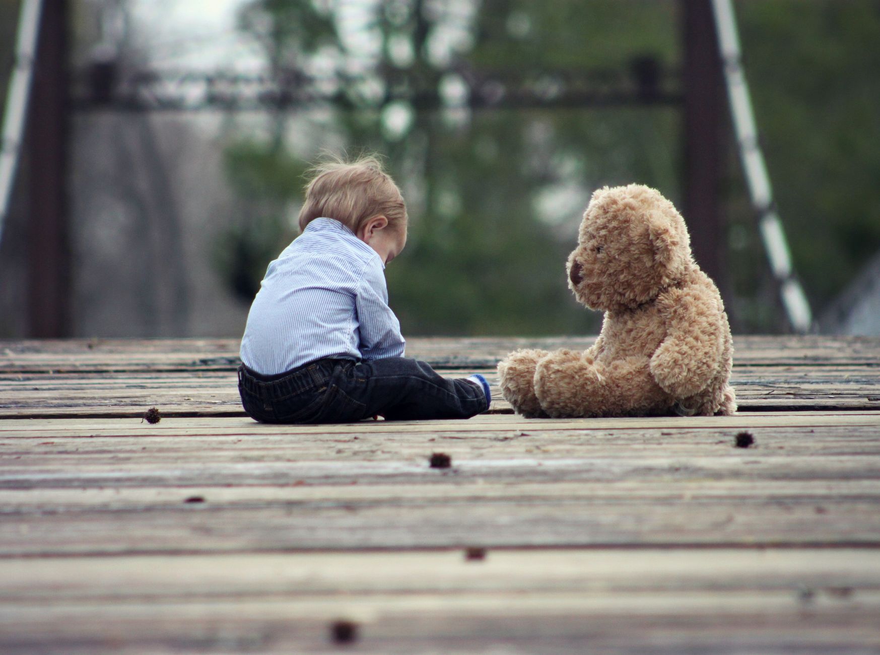 Bear that mauled Maple Ridge toddler confirmed dead after initial uncertainty