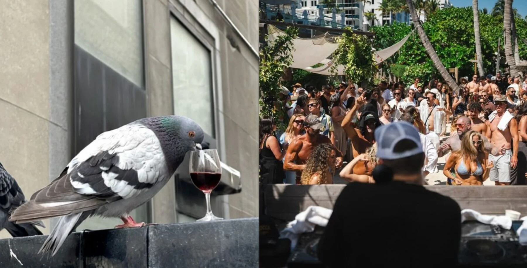 Walking wine tour kicks off downtown Friday night