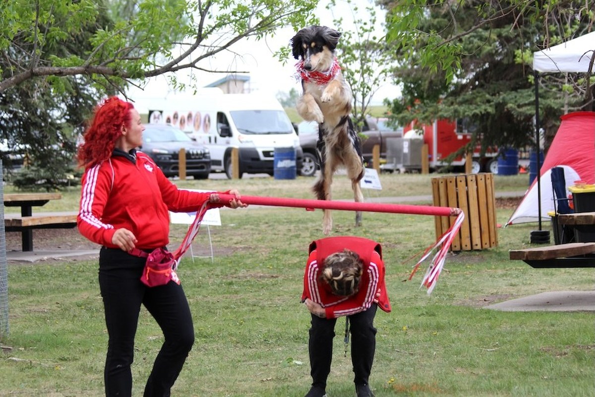 Airdrie's Bark in the Park brings dogs together for festival