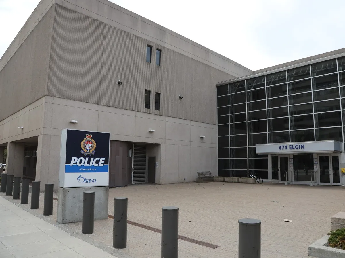 Man charged after replica firearms seized near Carleton