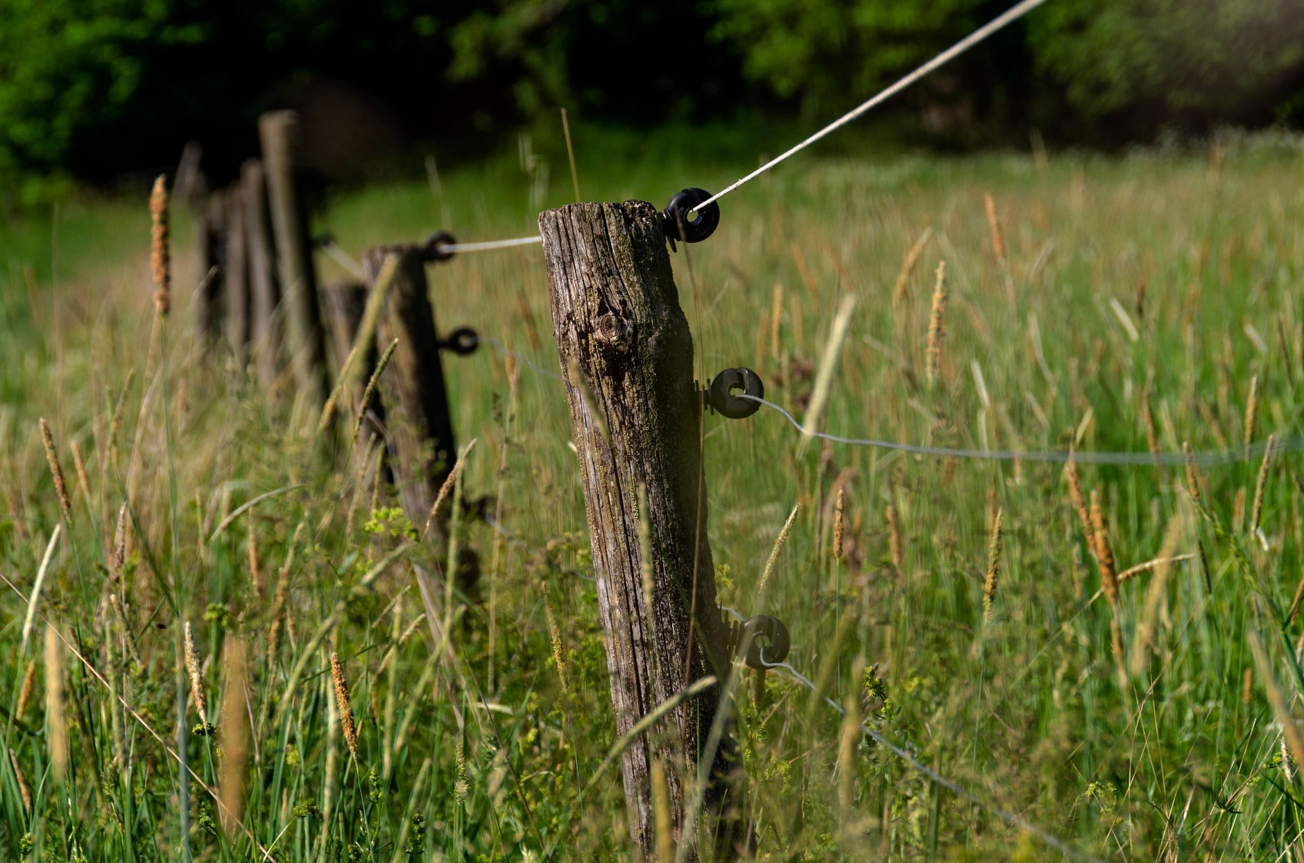 Teen critically injured after fence post impalement in Laval crash
