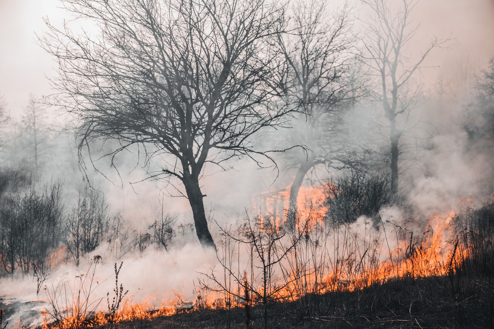 B.C. invests $20M in wildfire prevention projects this year