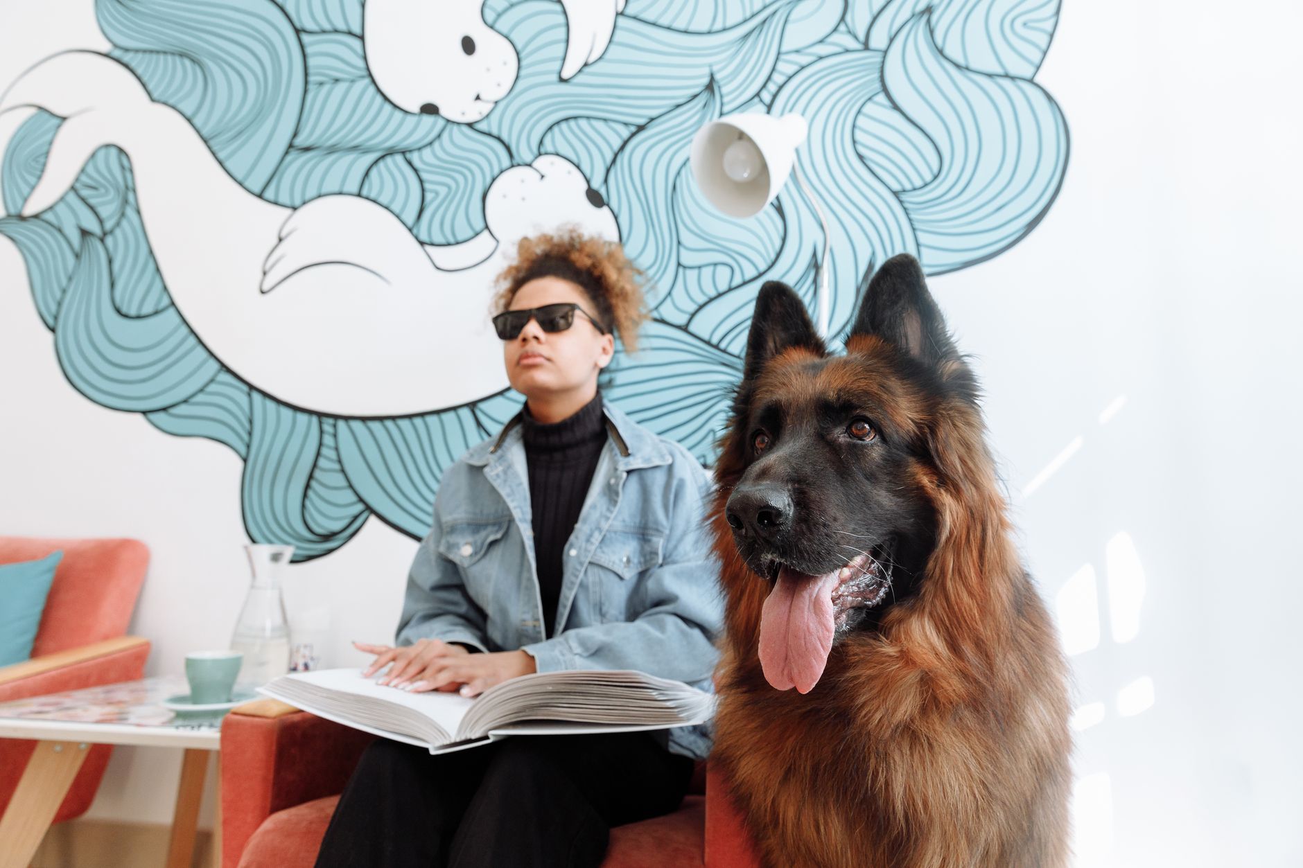 Zebra Centre's new therapy dog helps traumatized children in court