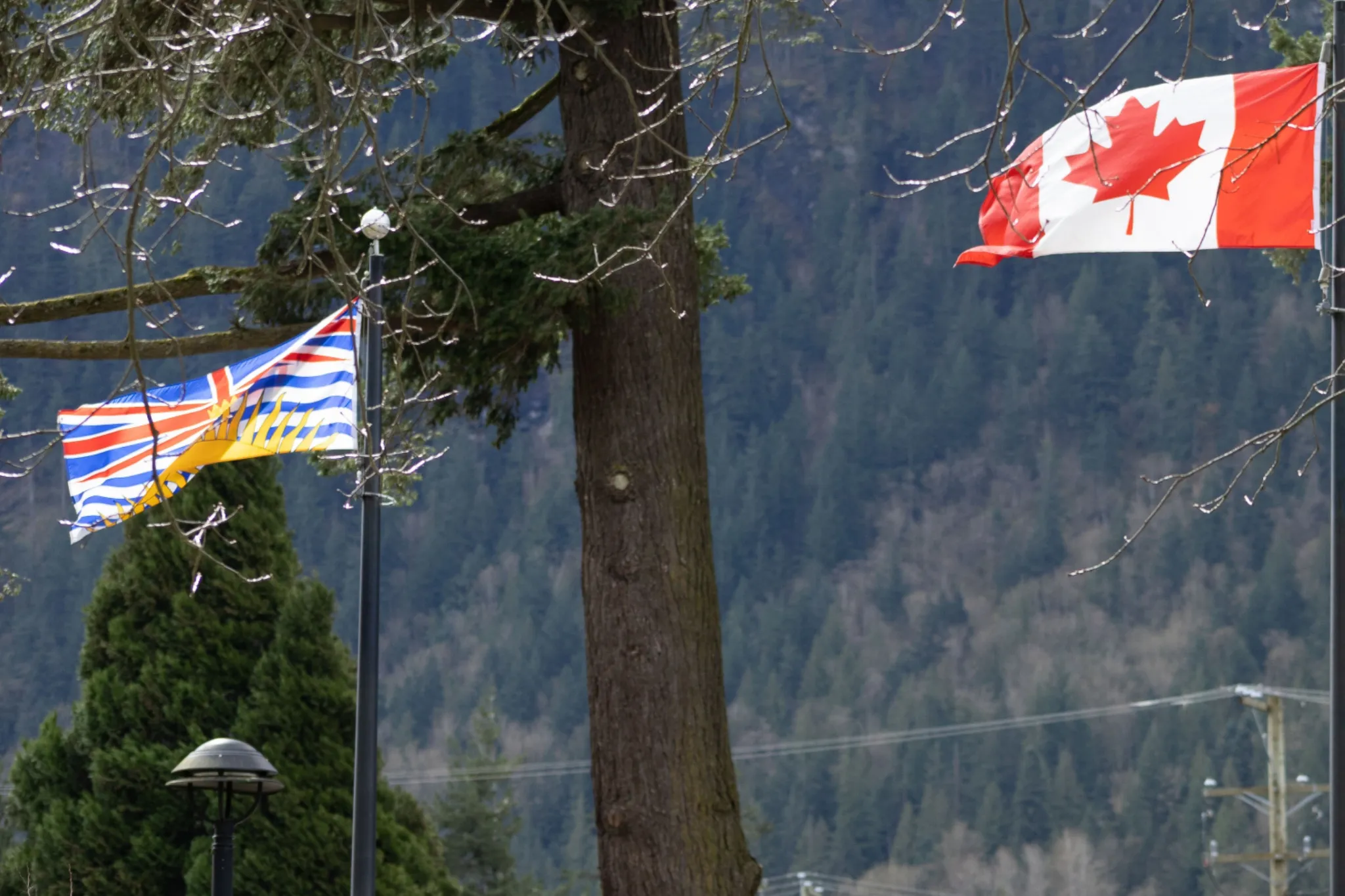 Indigenous land rights clash in BC rental deposit dispute