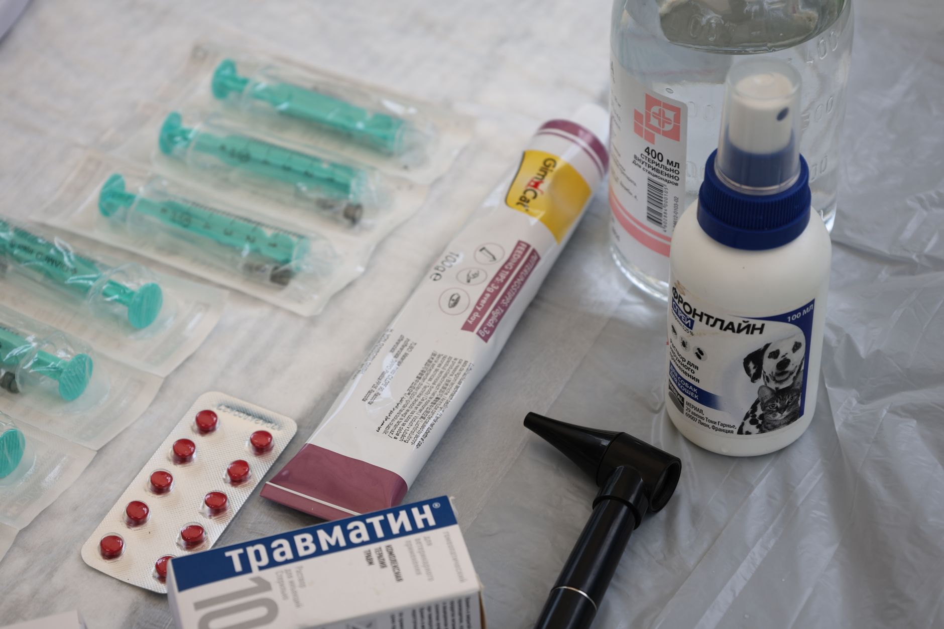 Ontario expanding drug-detecting dogs in jails amid violence fueled by contraband