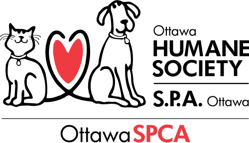 Ottawa Humane Society plans subsidized vet clinic in Vanier