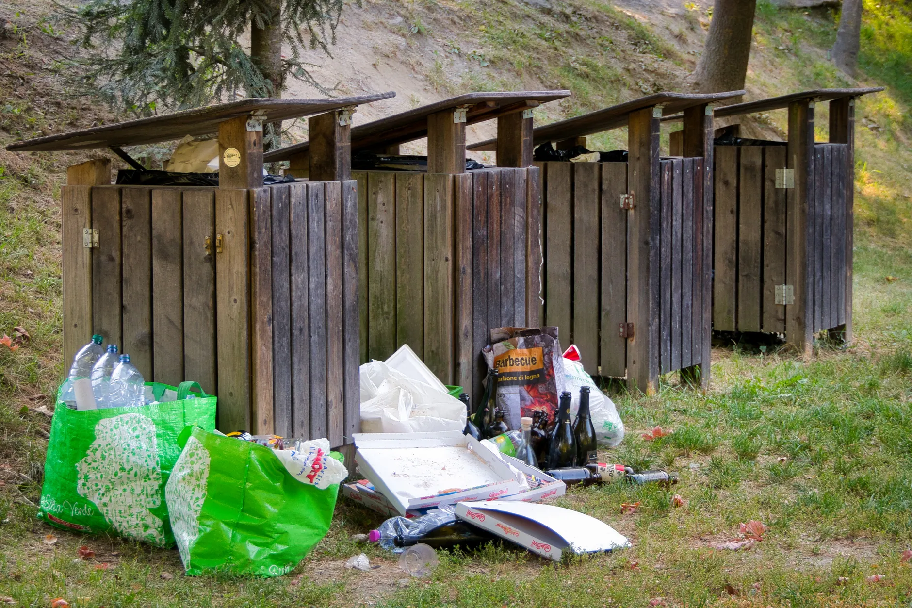 City to pilot big-bin program in 2027 to combat illegal dumping
