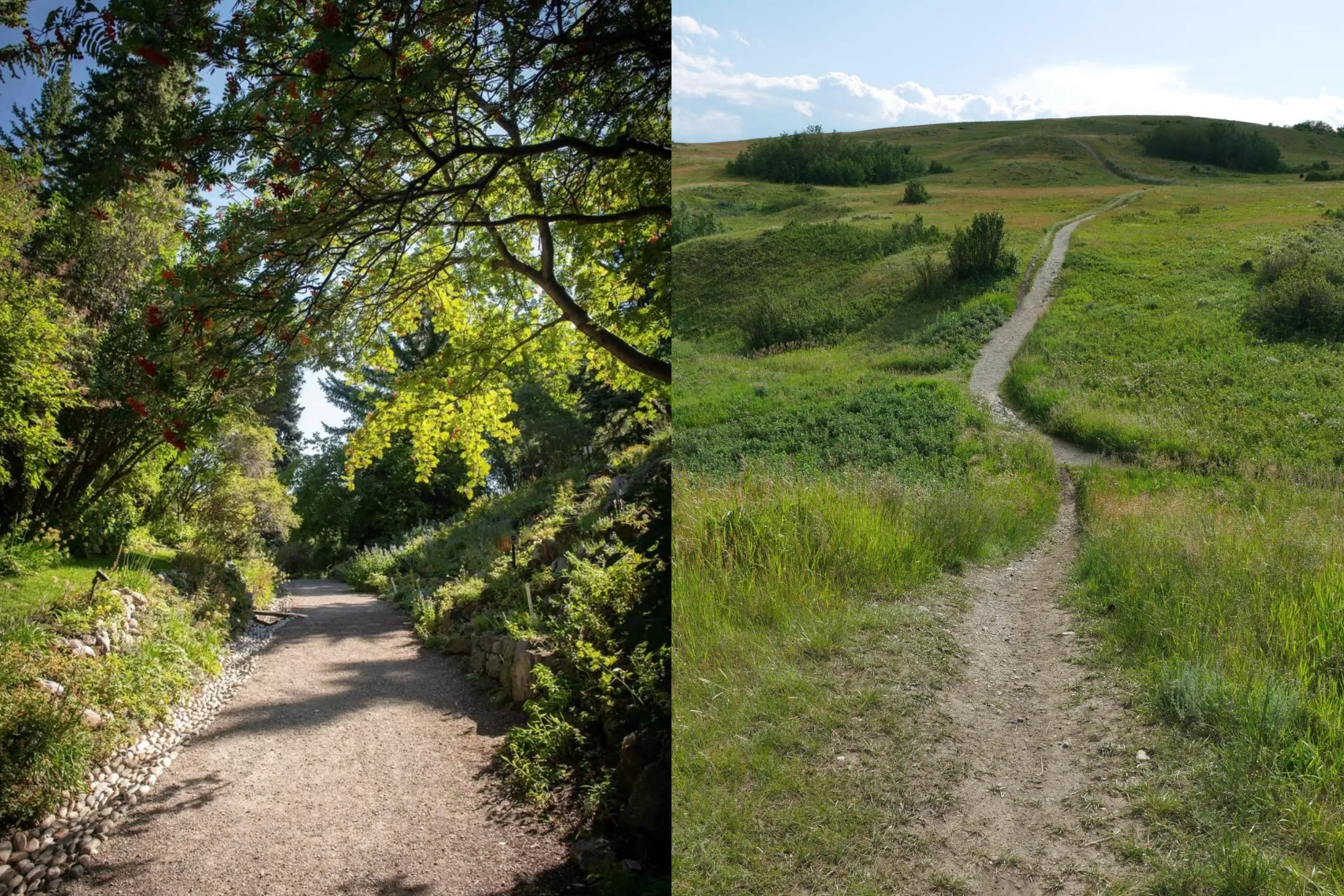 Summer parks worth exploring in Calgary this season
