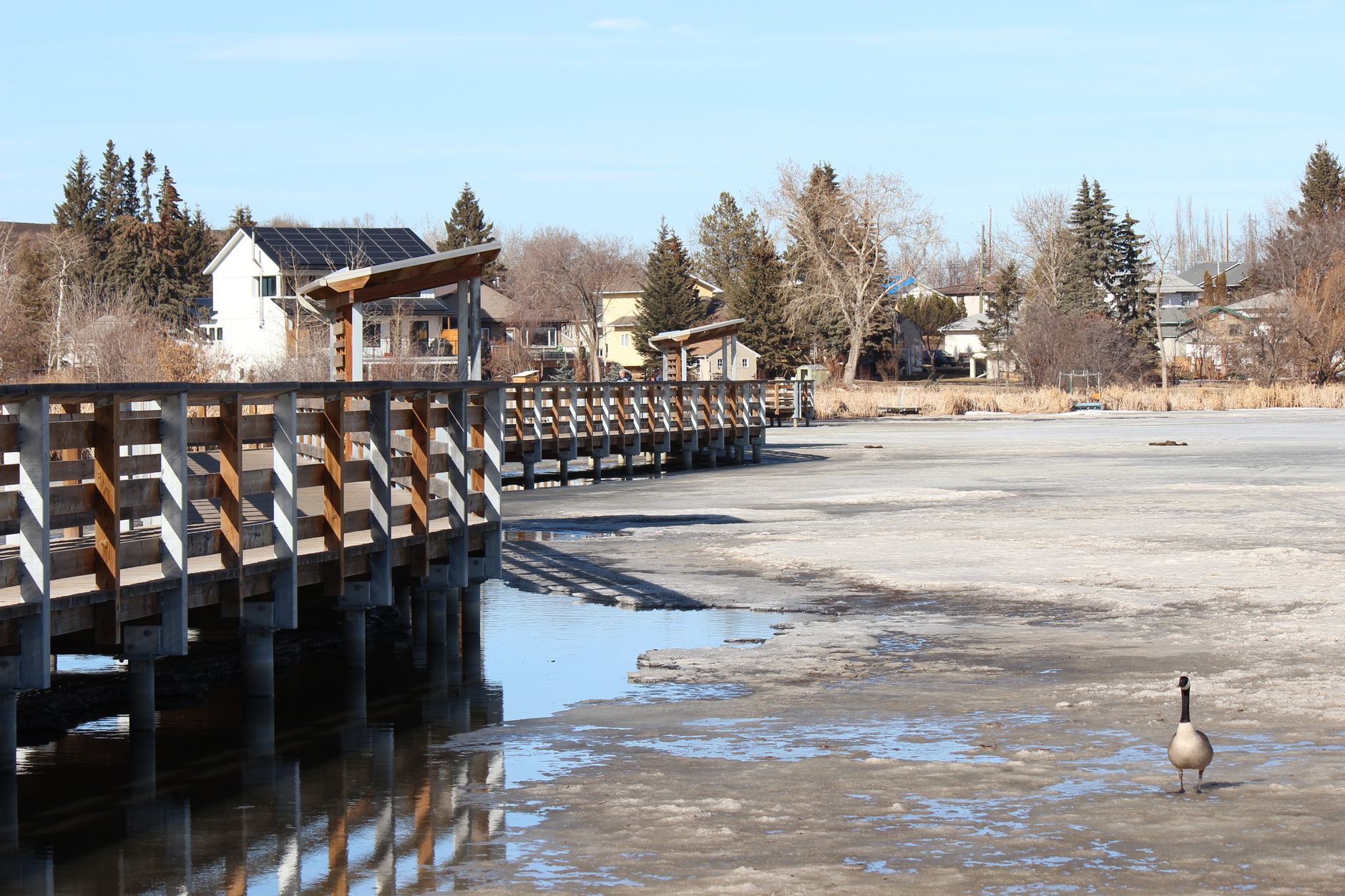 Leduc's community groups host recurring programs from art to food to fitness