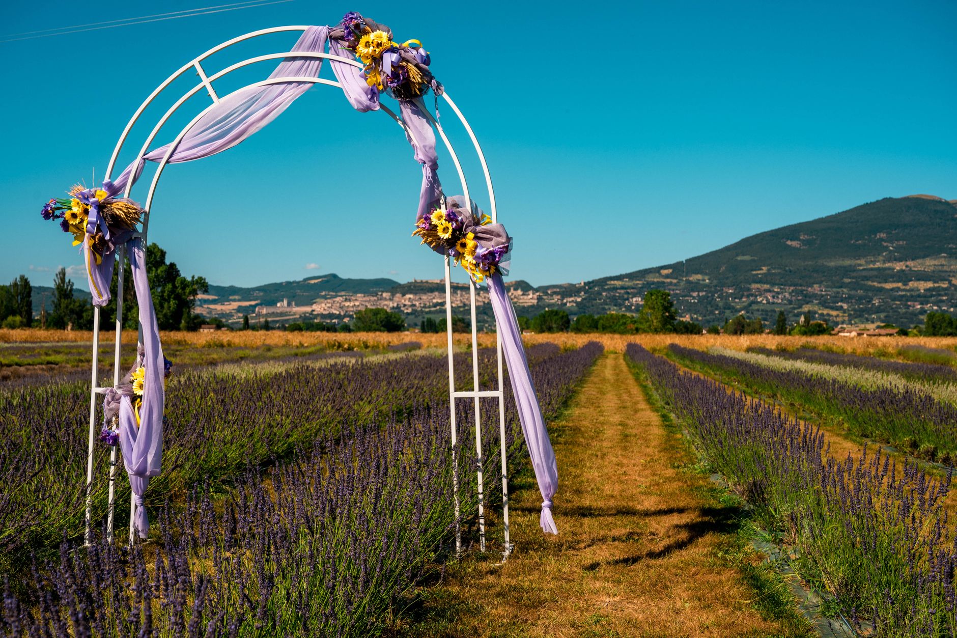 Provence Marinaside celebrates August with heirloom tomato festival menu