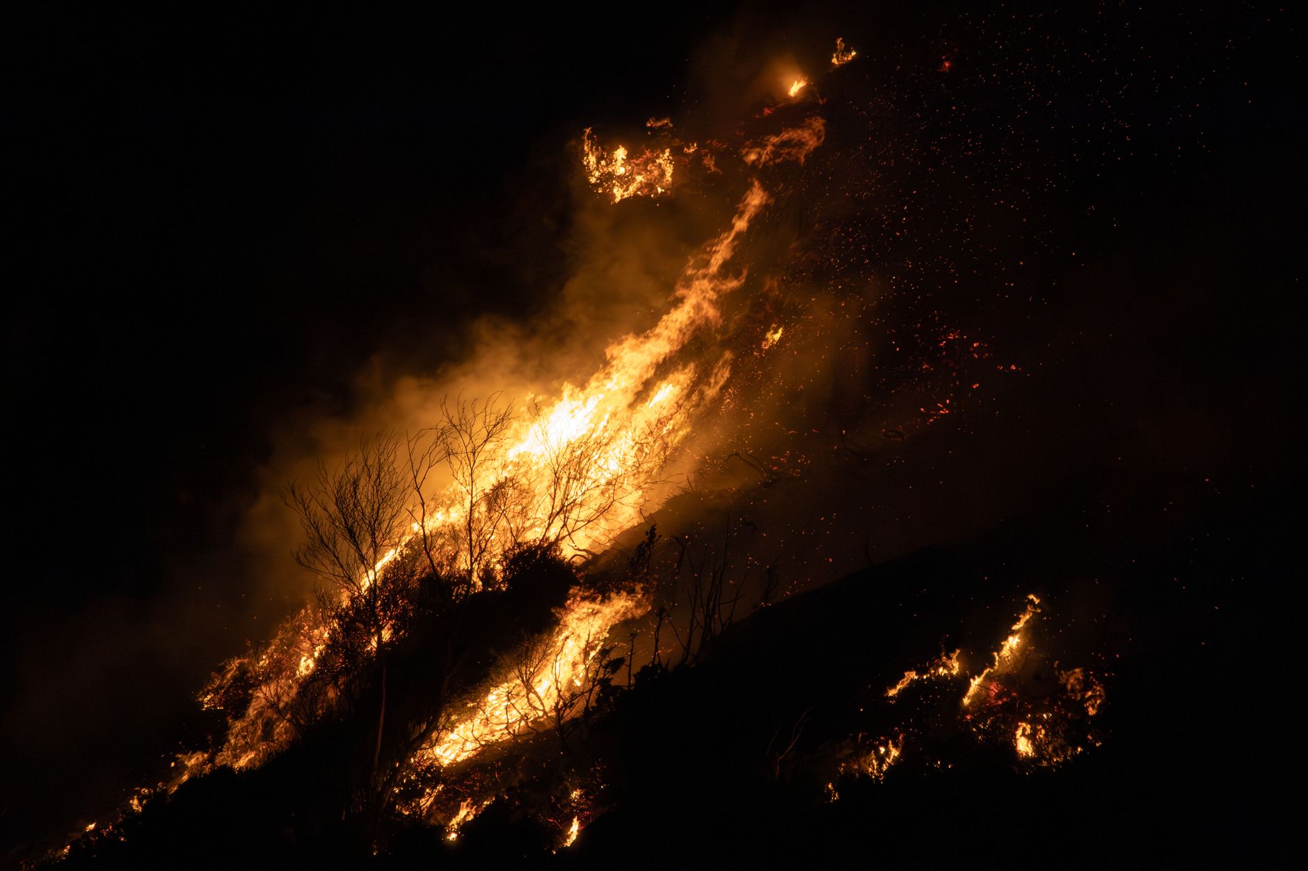 City of Kimberley under evacuation alert as wildfires close within 15 kilometres