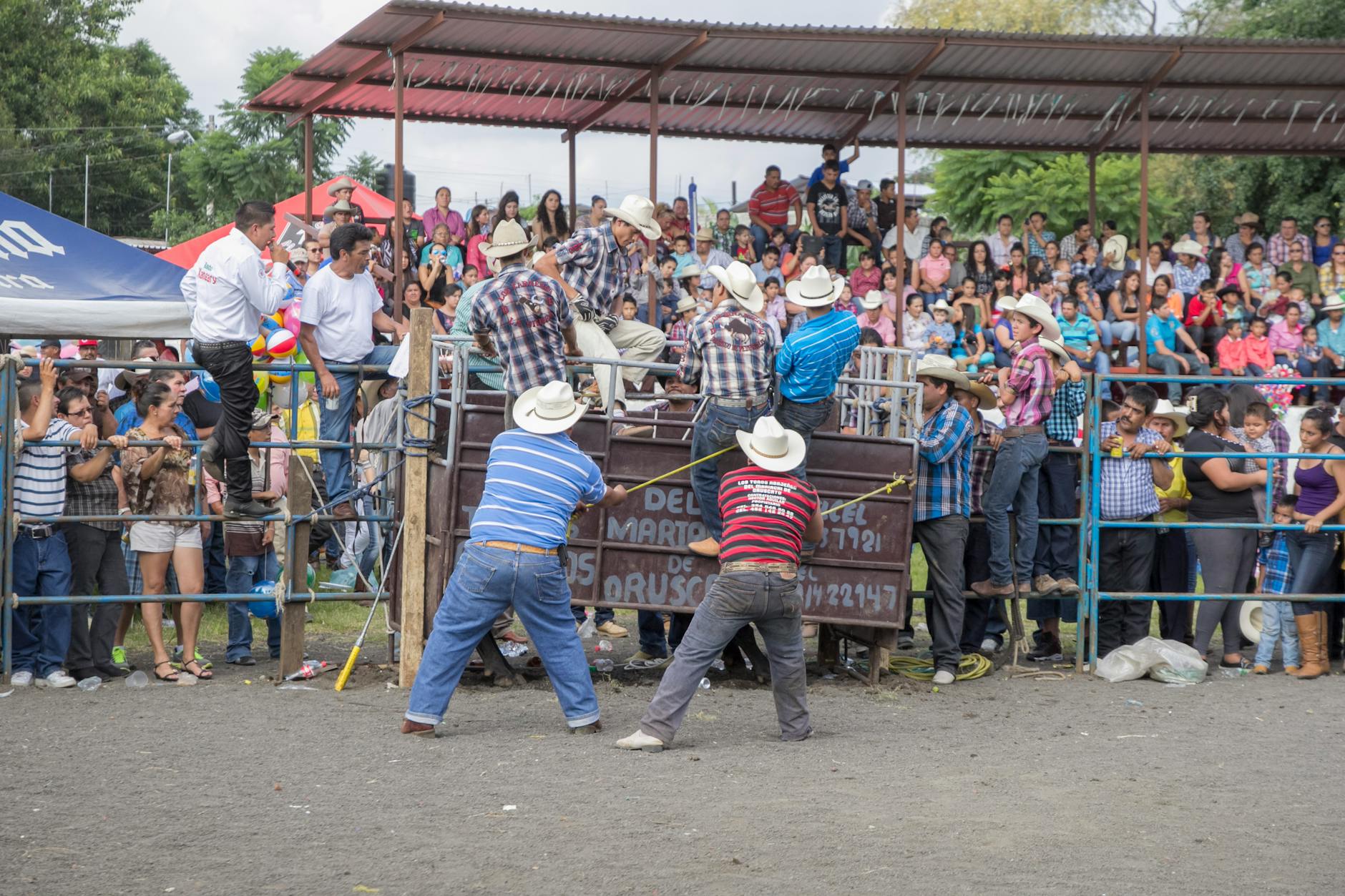 Cloverdale Rodeo shatters records with 82,000 visitors