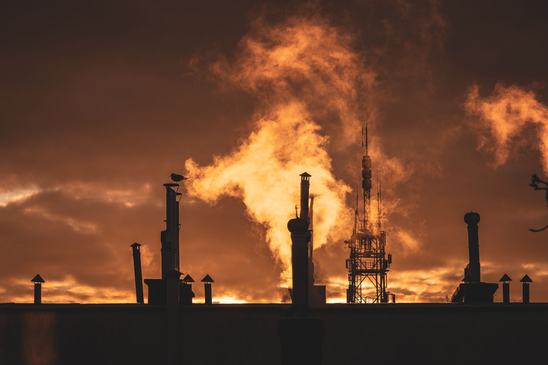 Canada plans more pipelines to export oil as emissions rise, climate crisis worsens