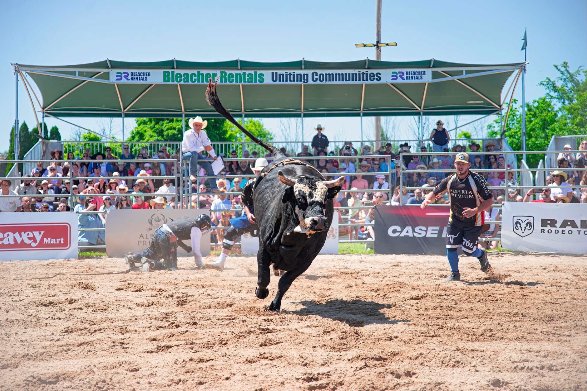 Calgary Stampede rodeo opens with 210 competitors chasing history