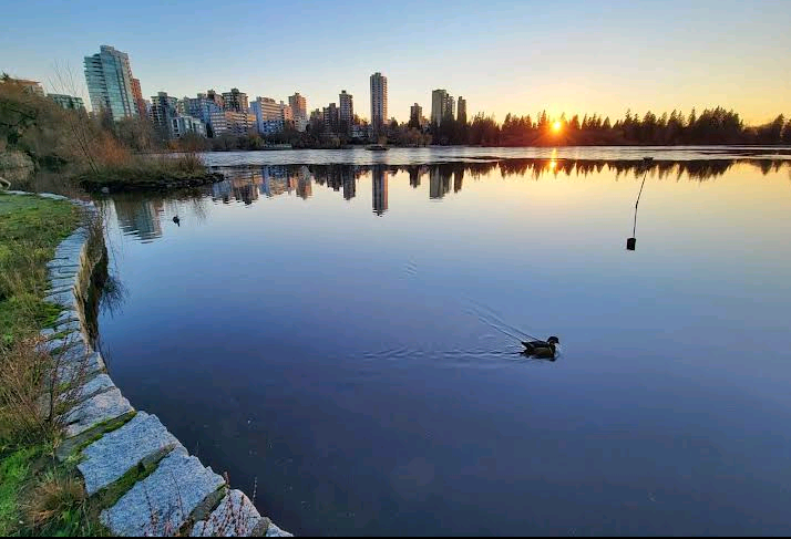 Swiss fans rave about Vancouver as World Cup hosts