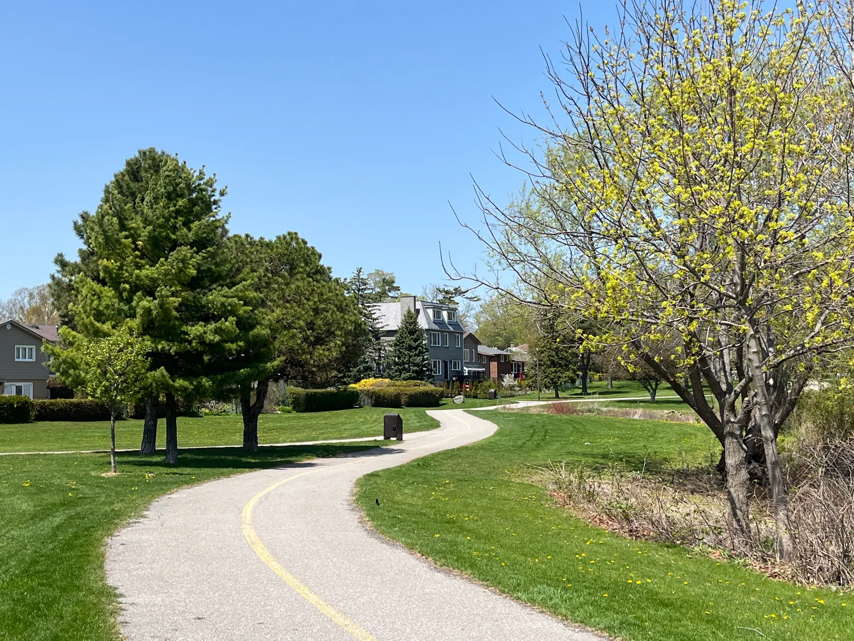 Lower Don park and trail network to be renamed through Indigenous-led process