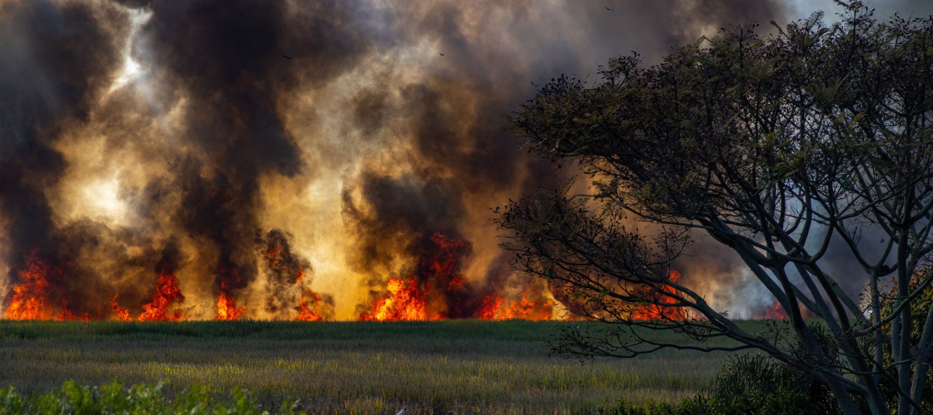 Ontario emergency minister pulled from CBC wildfire interview on air