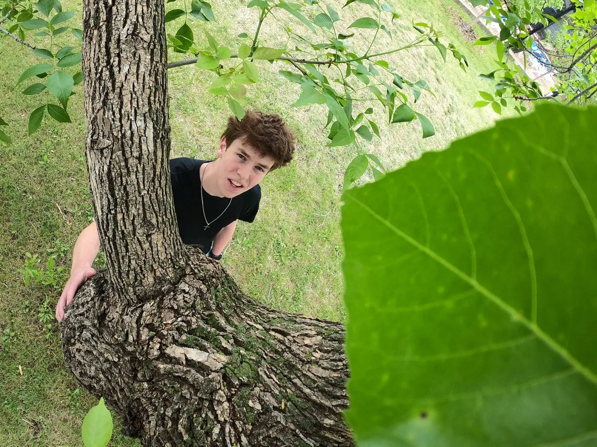 High schooler's tree-tracking app wins $100K scholarship