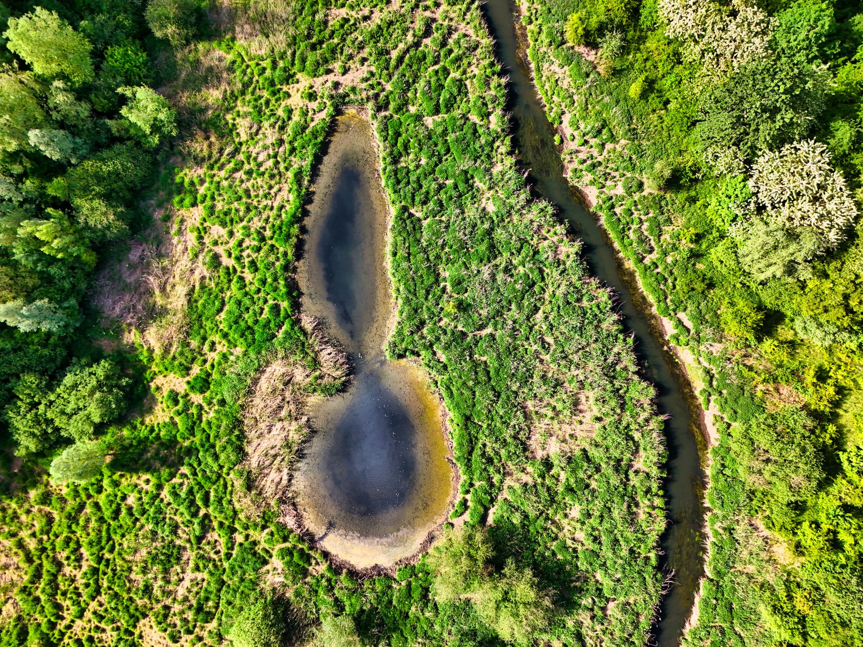 Quebec's groundwater reserves under threat from climate and sprawl