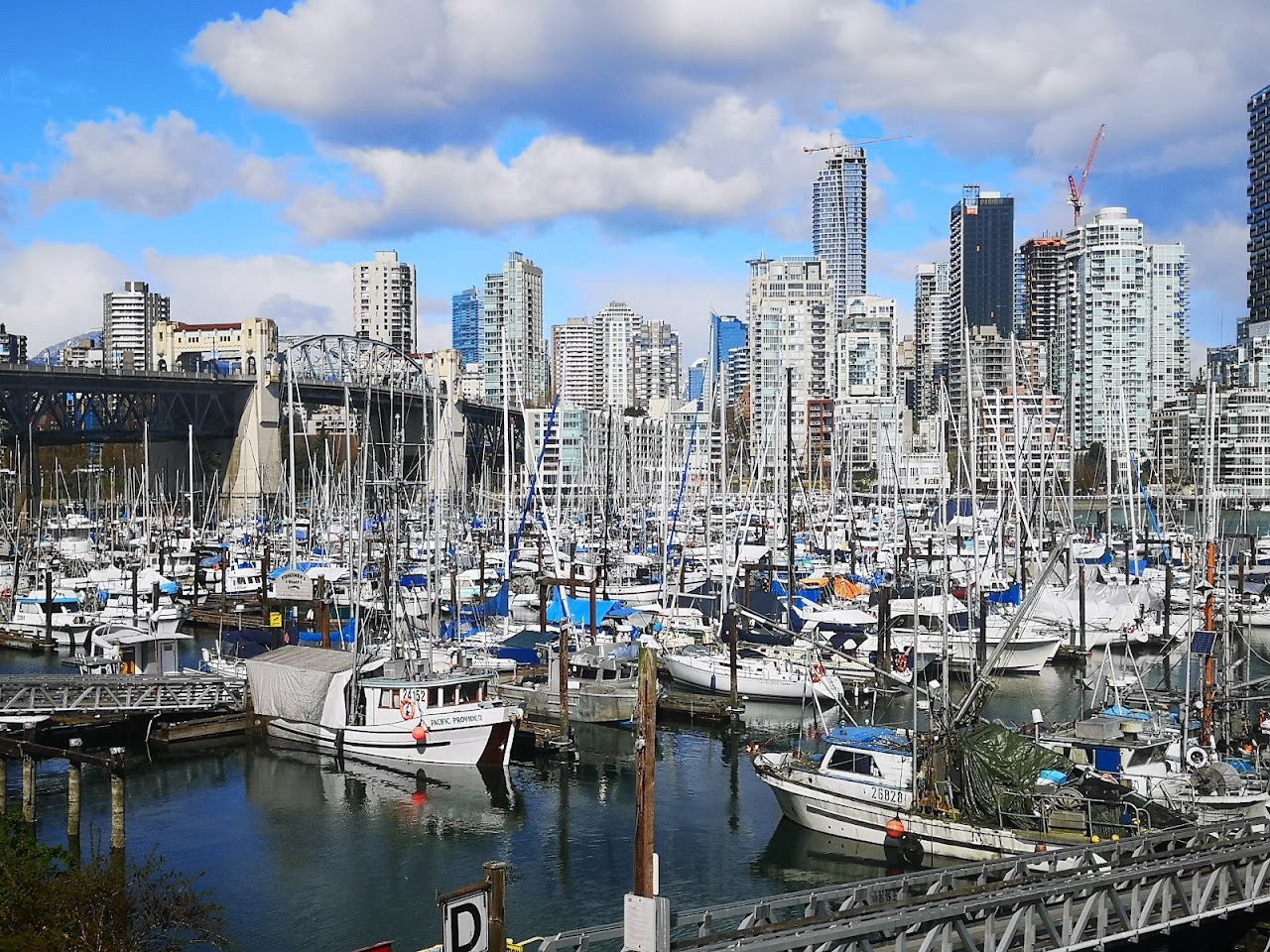 Spot prawn season arrives—head to the docks for the festival