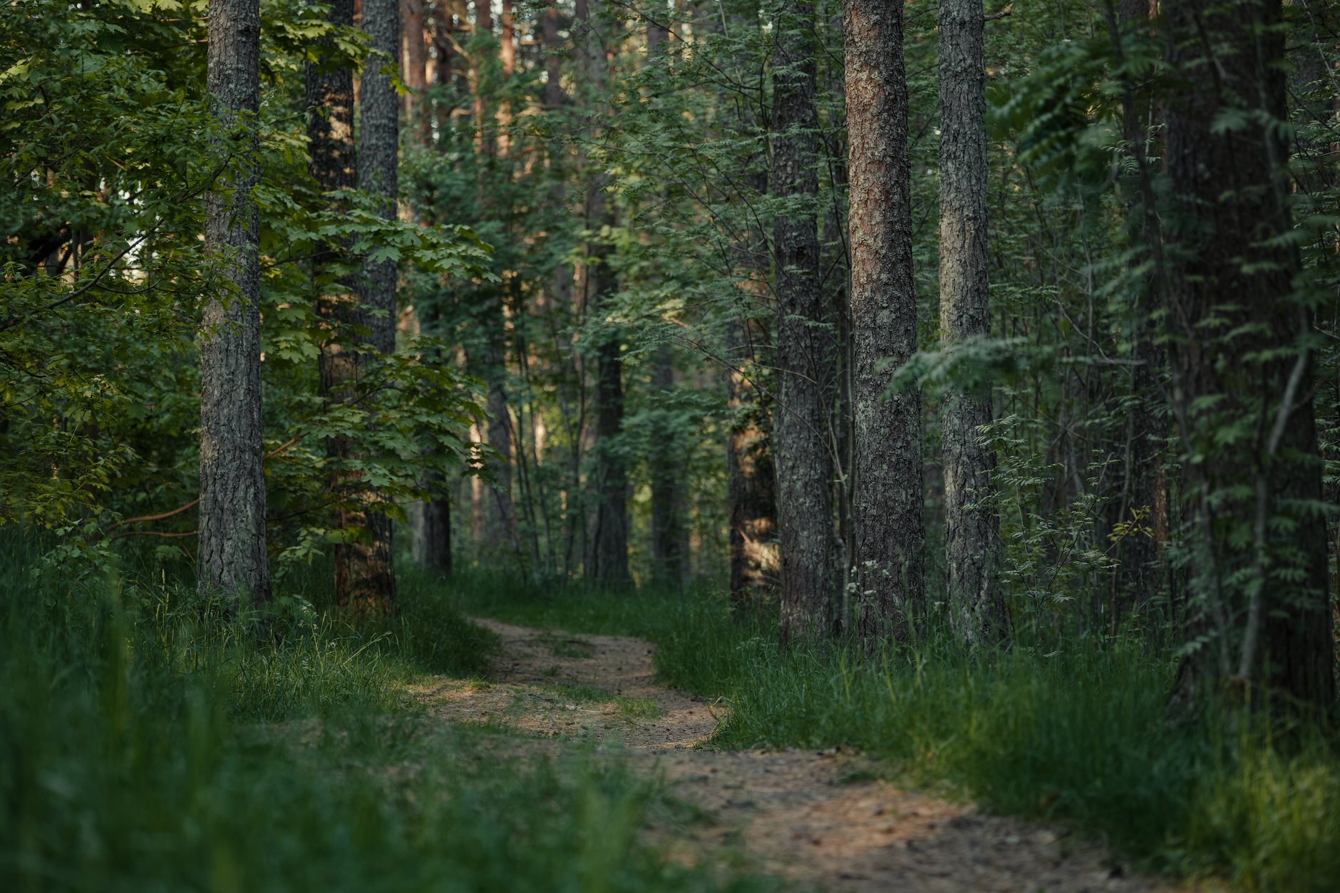Echoes of the Land returns—immersive 60-minute experience at Werklund