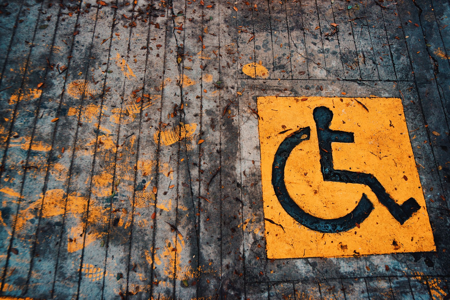 Accessibility group slams Metrolinx over Finch West LRT design flaw