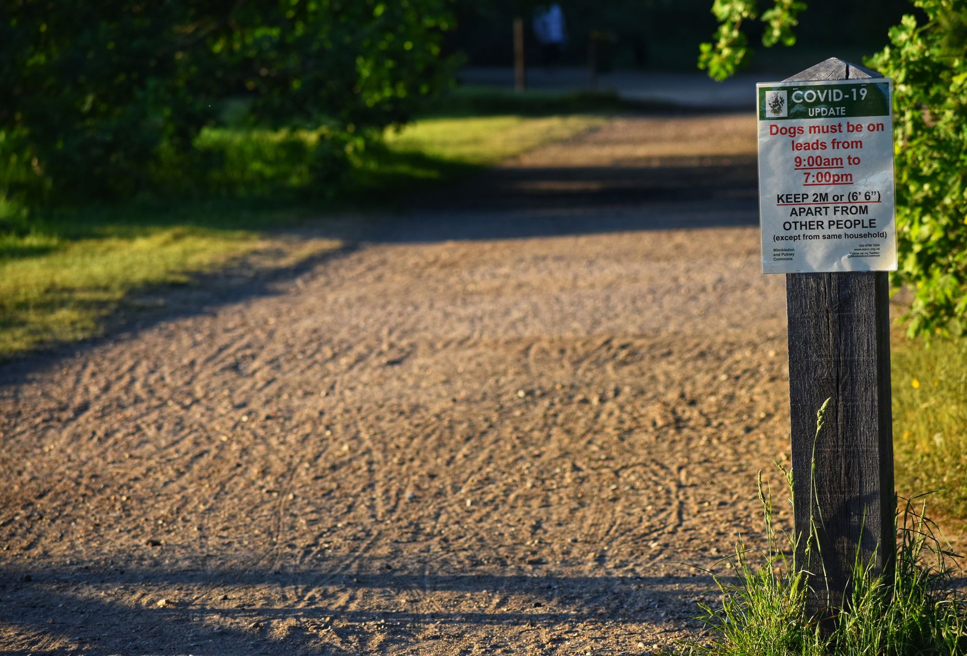 City committee approves bylaw to prevent bad-faith renovictions in Ottawa