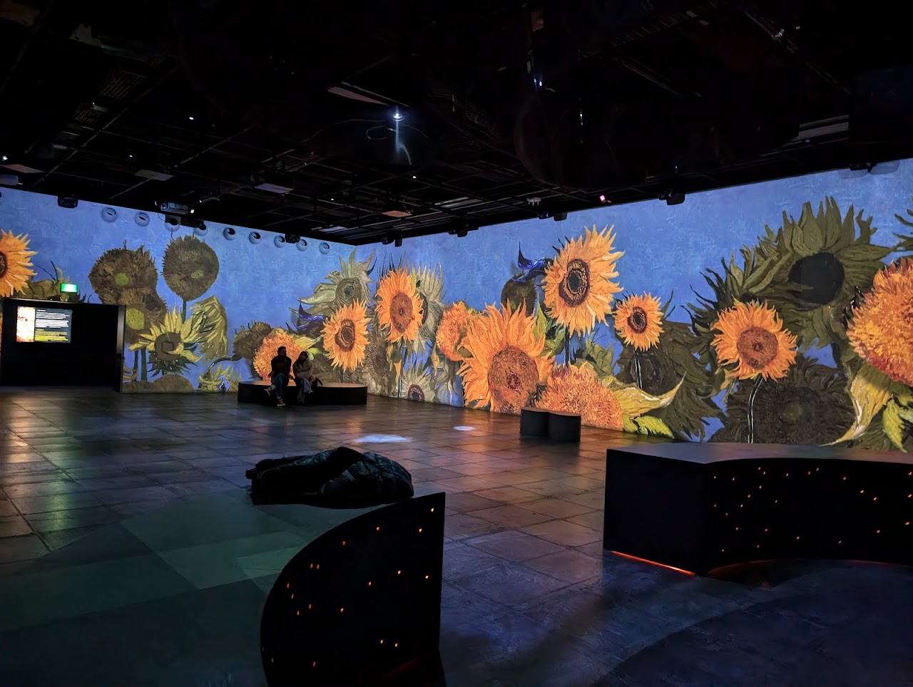 BODYVERSE: A Virtual Journey Inside the Human Body