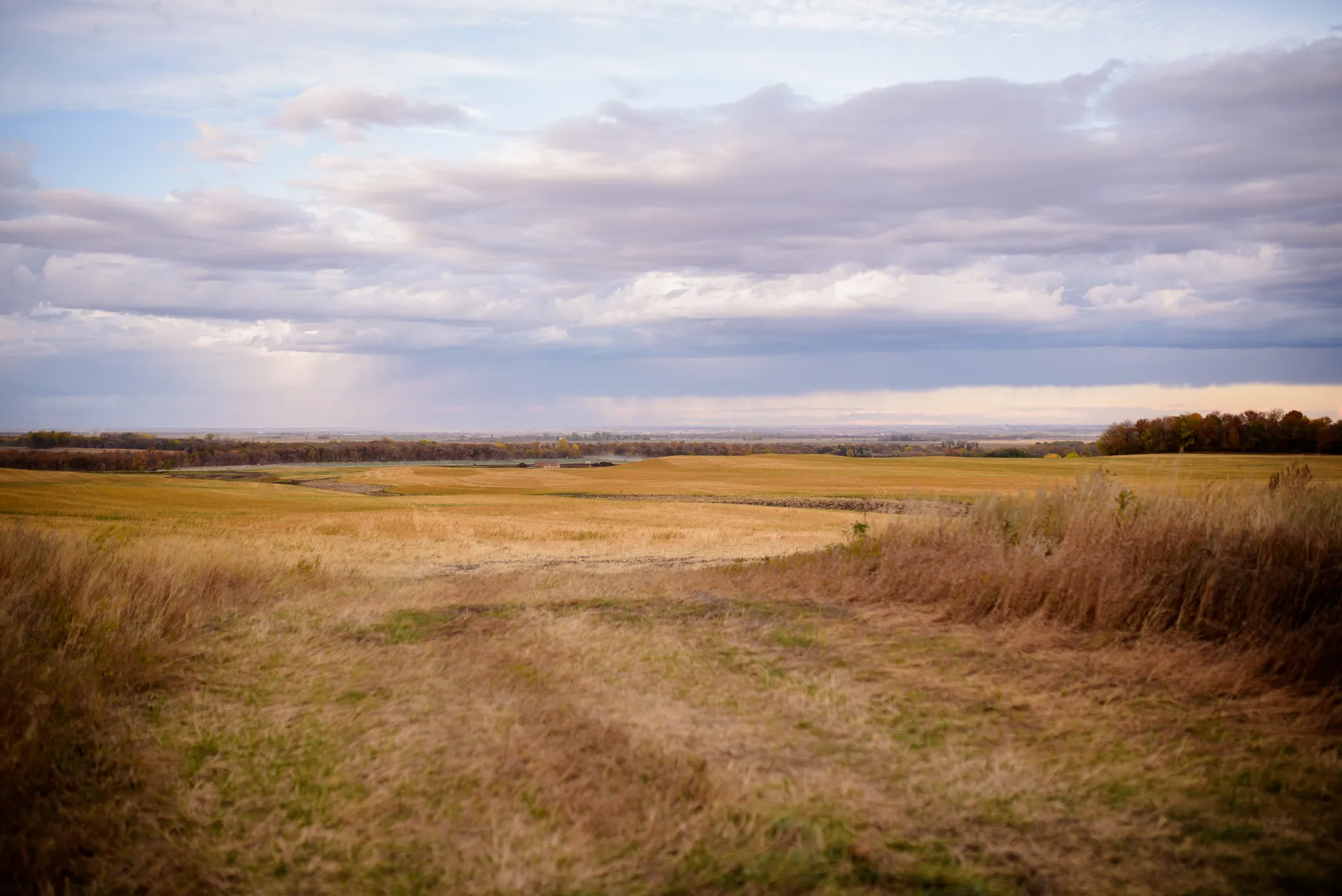 Alberta fall weather expected to be warmer and wetter than average this year