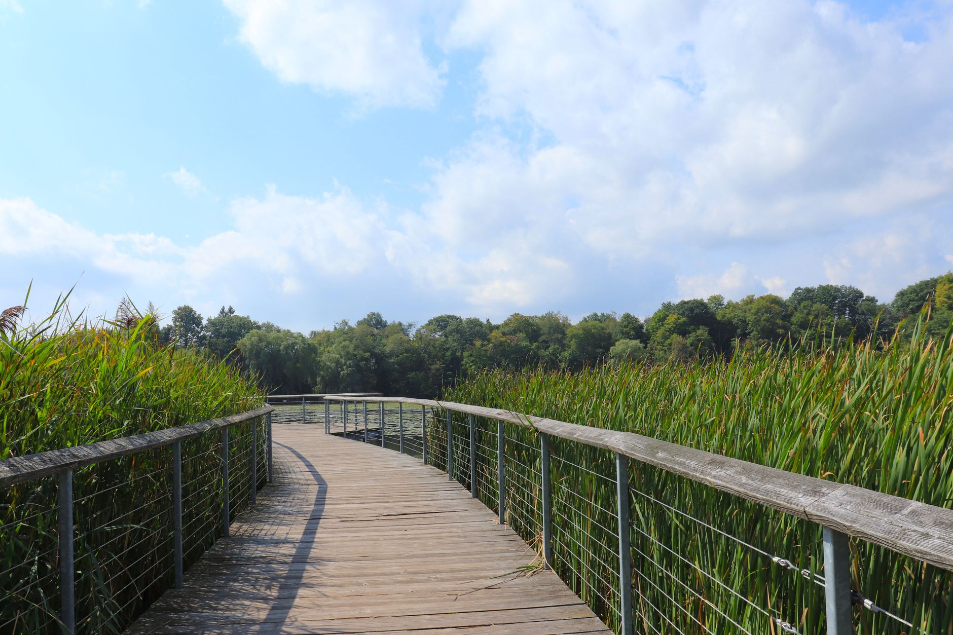 Lalande Conservation Park reopens in phases after coyote den clears