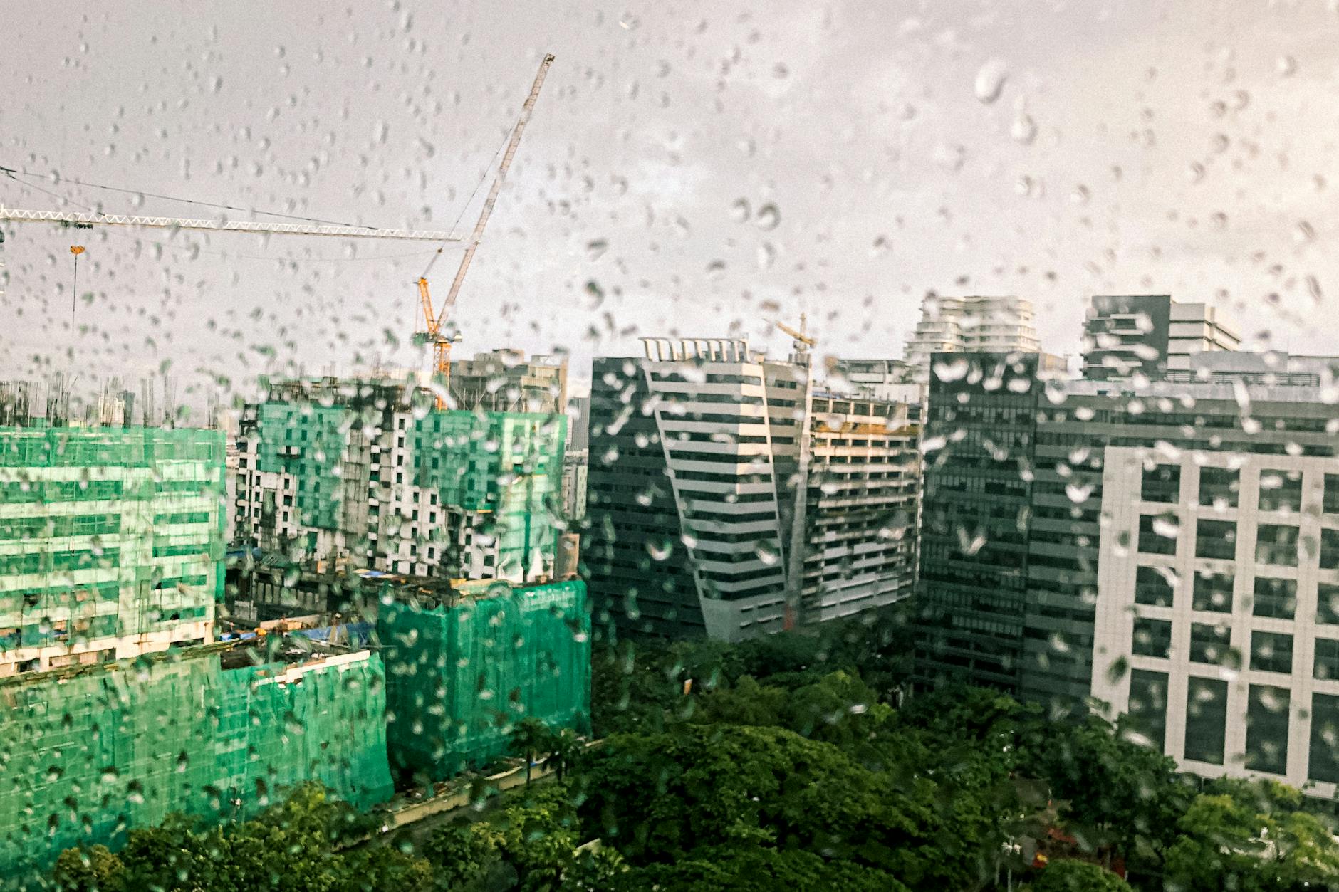 Sunday with a chill — rain coming, but plenty to do.