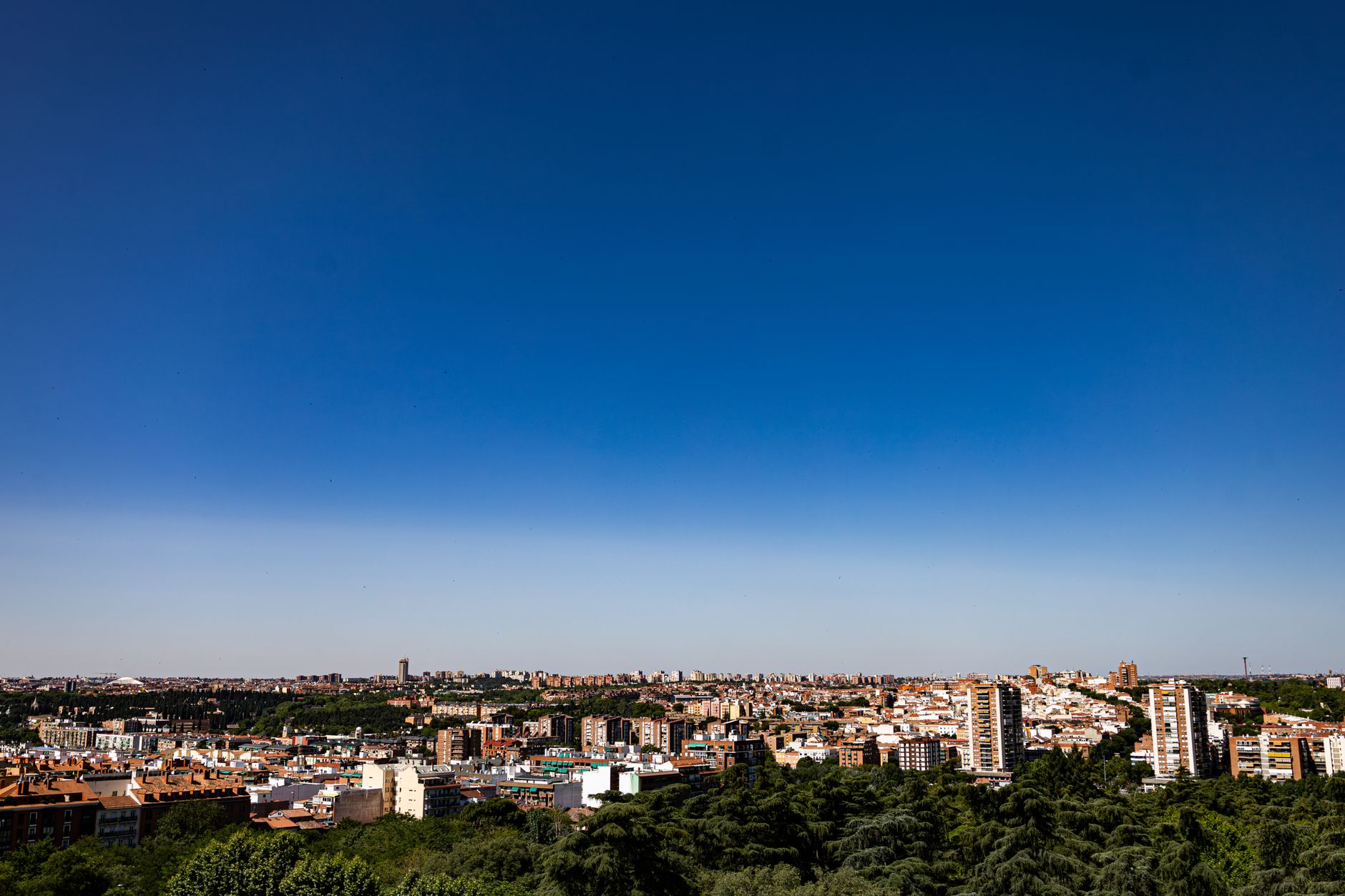 Friday's your launchpad — clear skies, Carnival closures, Jays at seven.